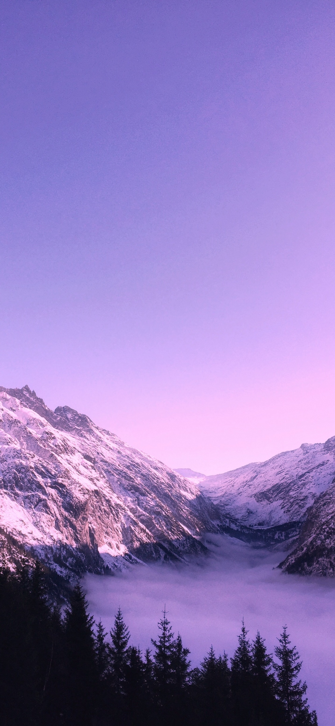 Обои милая фиолетовая эстетика, эстетика, пурпур, Темно-фиолетовый, цветной в разрешении 1125x2436