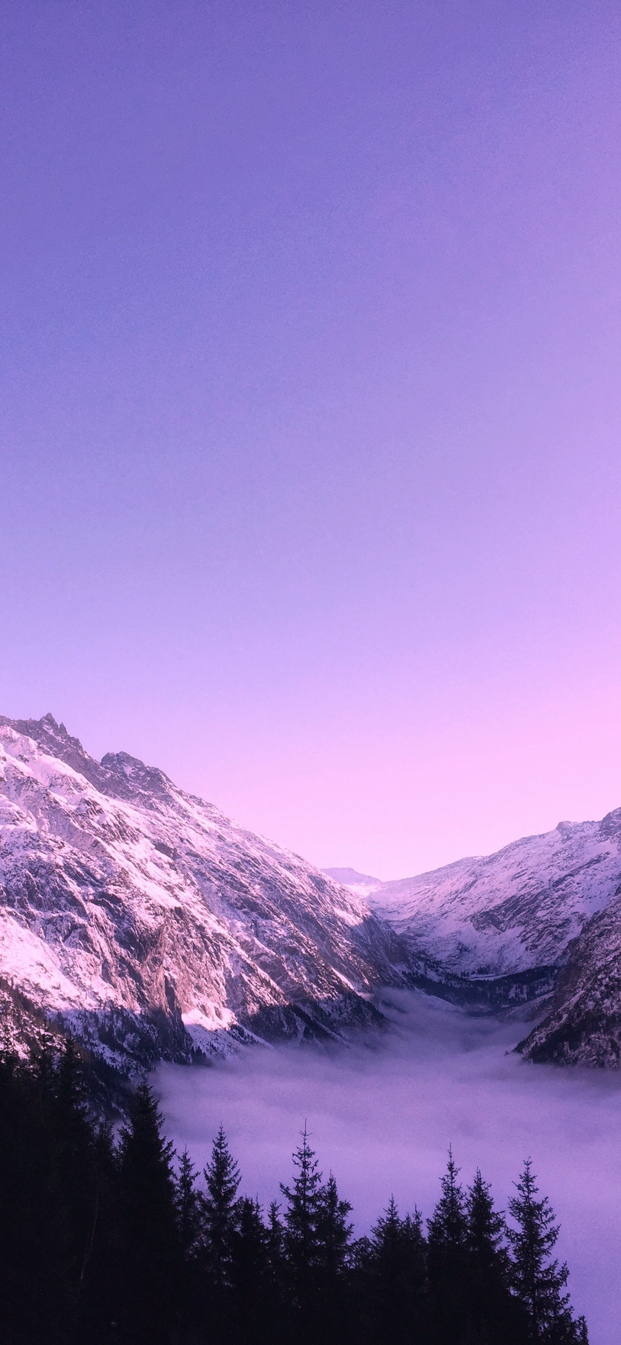 Обои милая фиолетовая эстетика, эстетика, пурпур, Темно-фиолетовый, цветной в разрешении 1242x2688