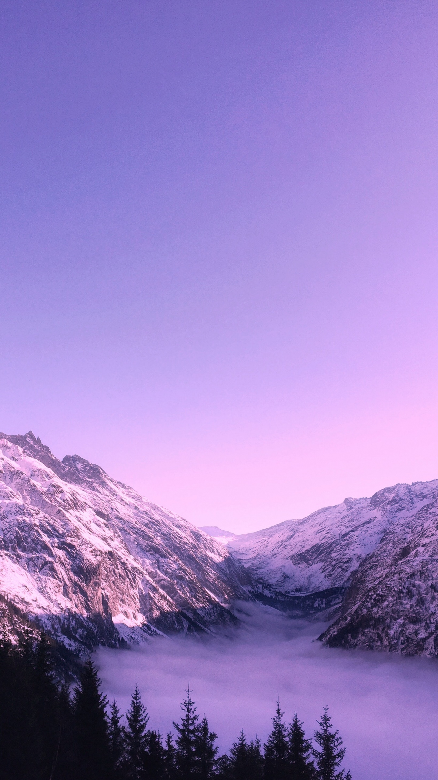 Обои милая фиолетовая эстетика, эстетика, пурпур, Темно-фиолетовый, цветной в разрешении 1440x2560