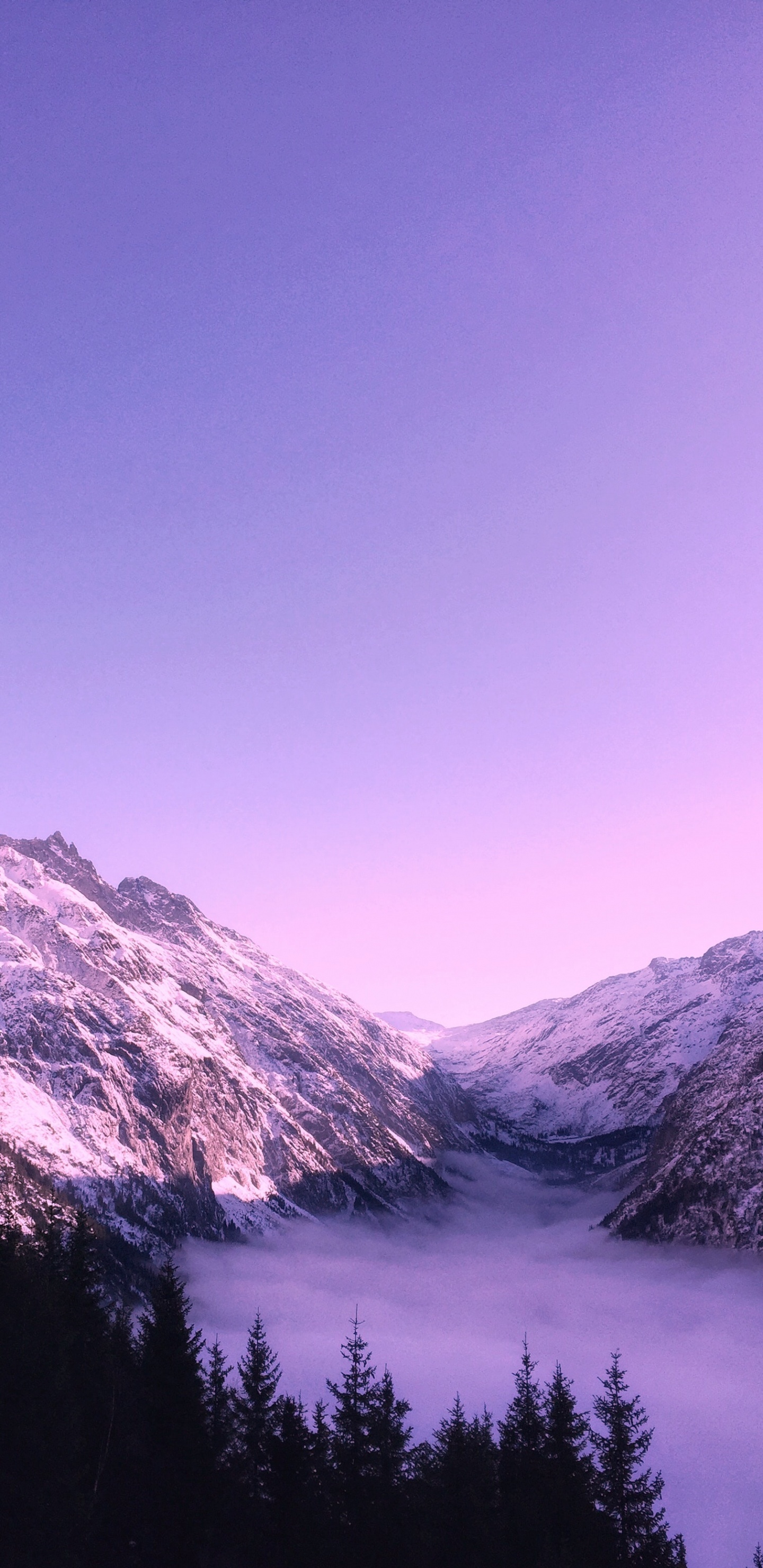 Обои милая фиолетовая эстетика, эстетика, пурпур, Темно-фиолетовый, цветной в разрешении 1440x2960