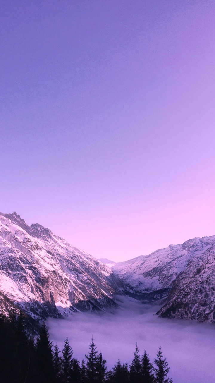 Обои милая фиолетовая эстетика, эстетика, пурпур, Темно-фиолетовый, цветной в разрешении 720x1280