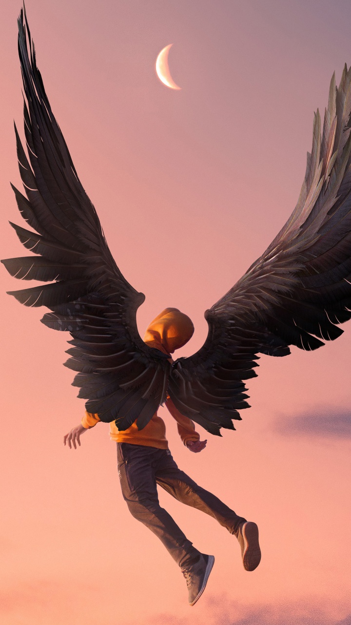 Обои атмосфера, астрономический объект, крыло, полумесяц, птица в разрешении 720x1280