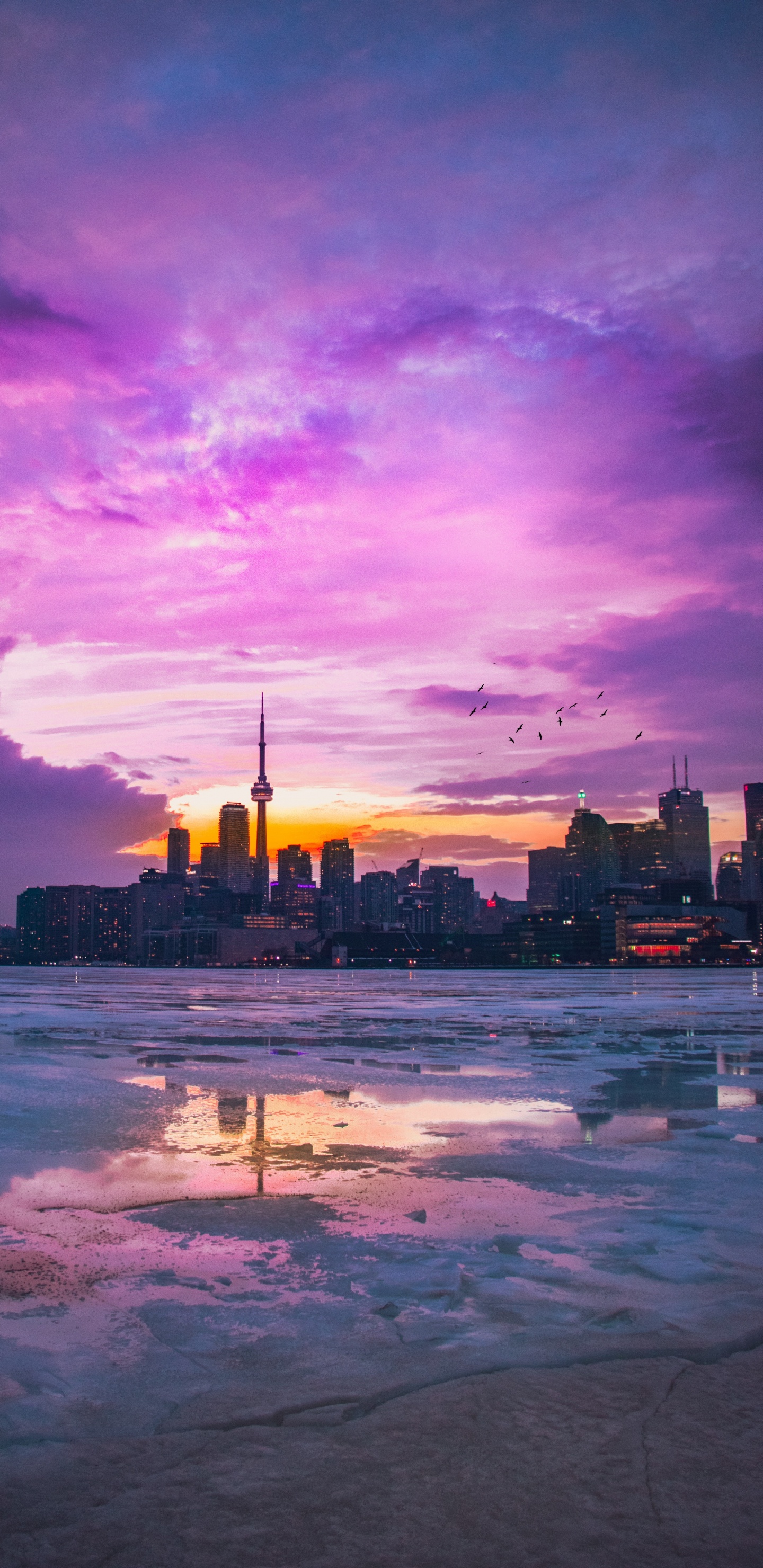 Обои Торонто, планшет, облако, вода, атмосфера в разрешении 1440x2960