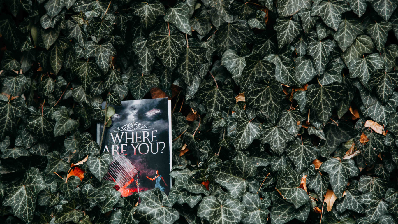 Обои текст, лист, узор, рок, графика в разрешении 1366x768