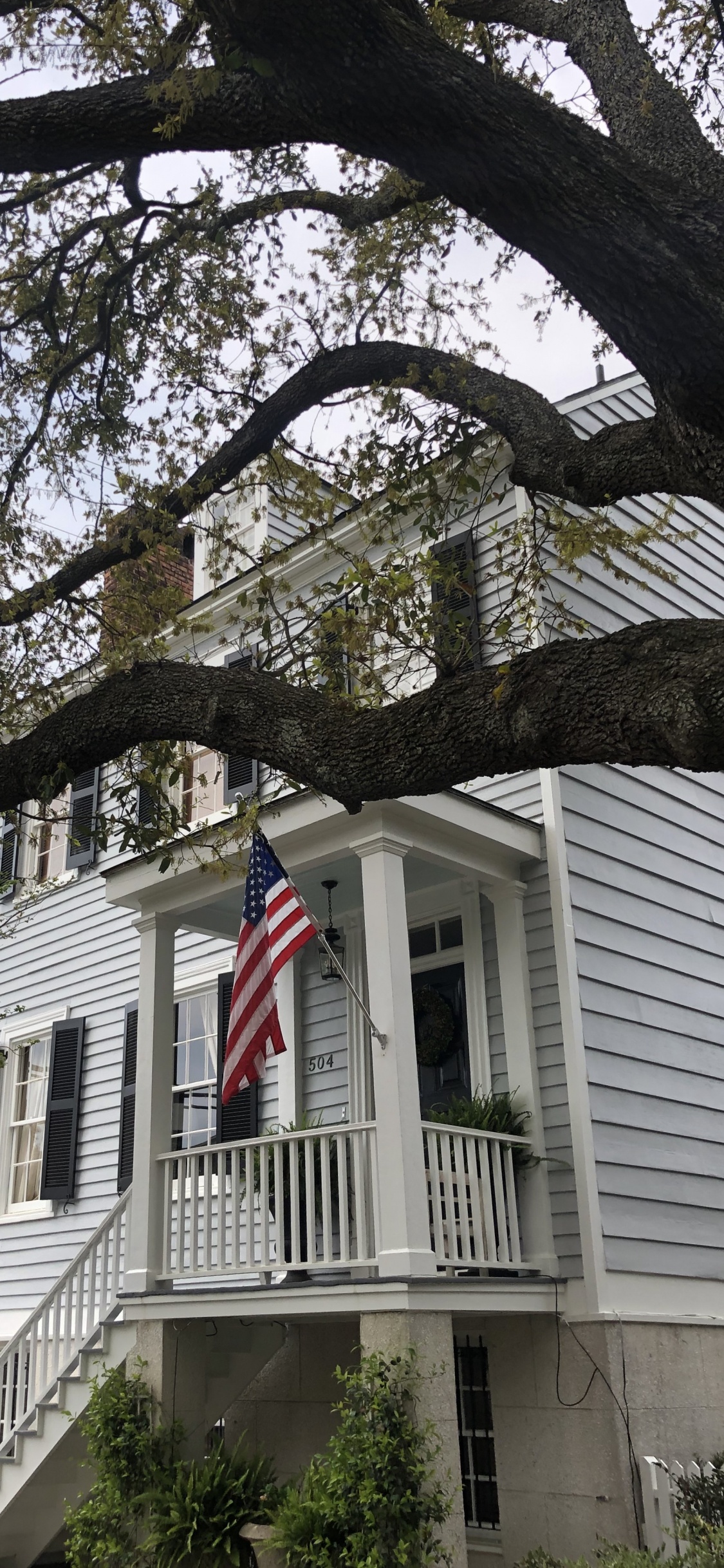 Обои Хаус, ветвь, флаг, дневное время, окно в разрешении 1125x2436