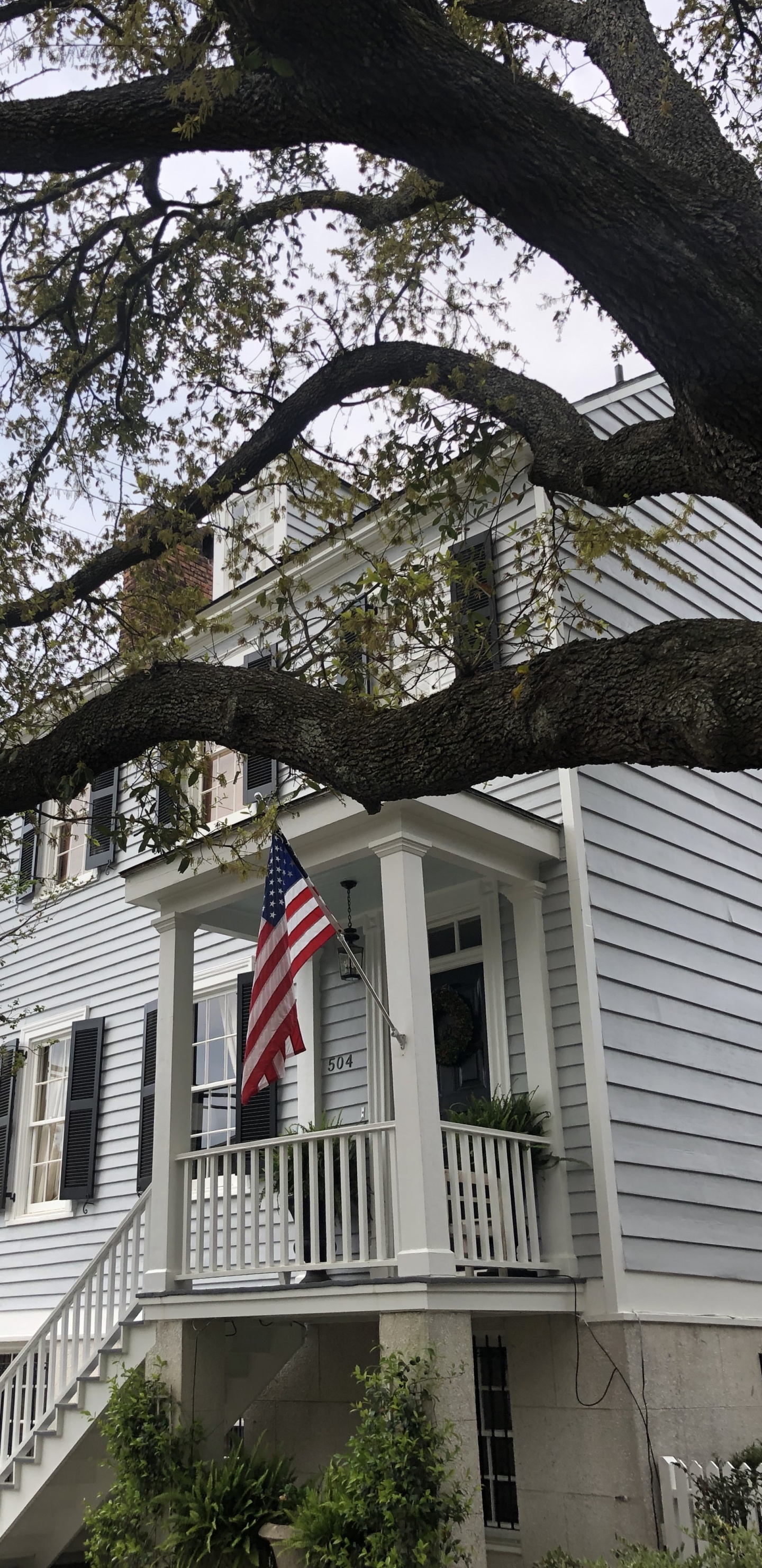 Обои Хаус, ветвь, флаг, дневное время, окно в разрешении 1440x2960