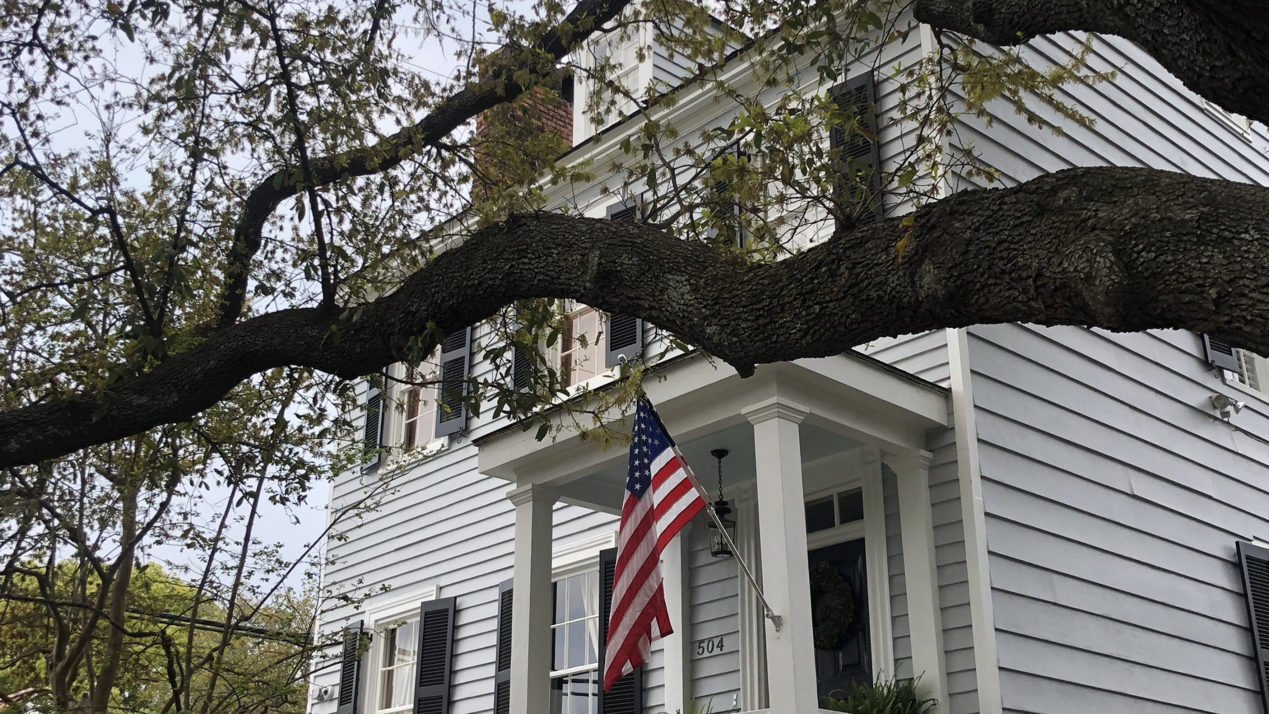 Обои Хаус, ветвь, флаг, дневное время, окно в разрешении 2560x1440