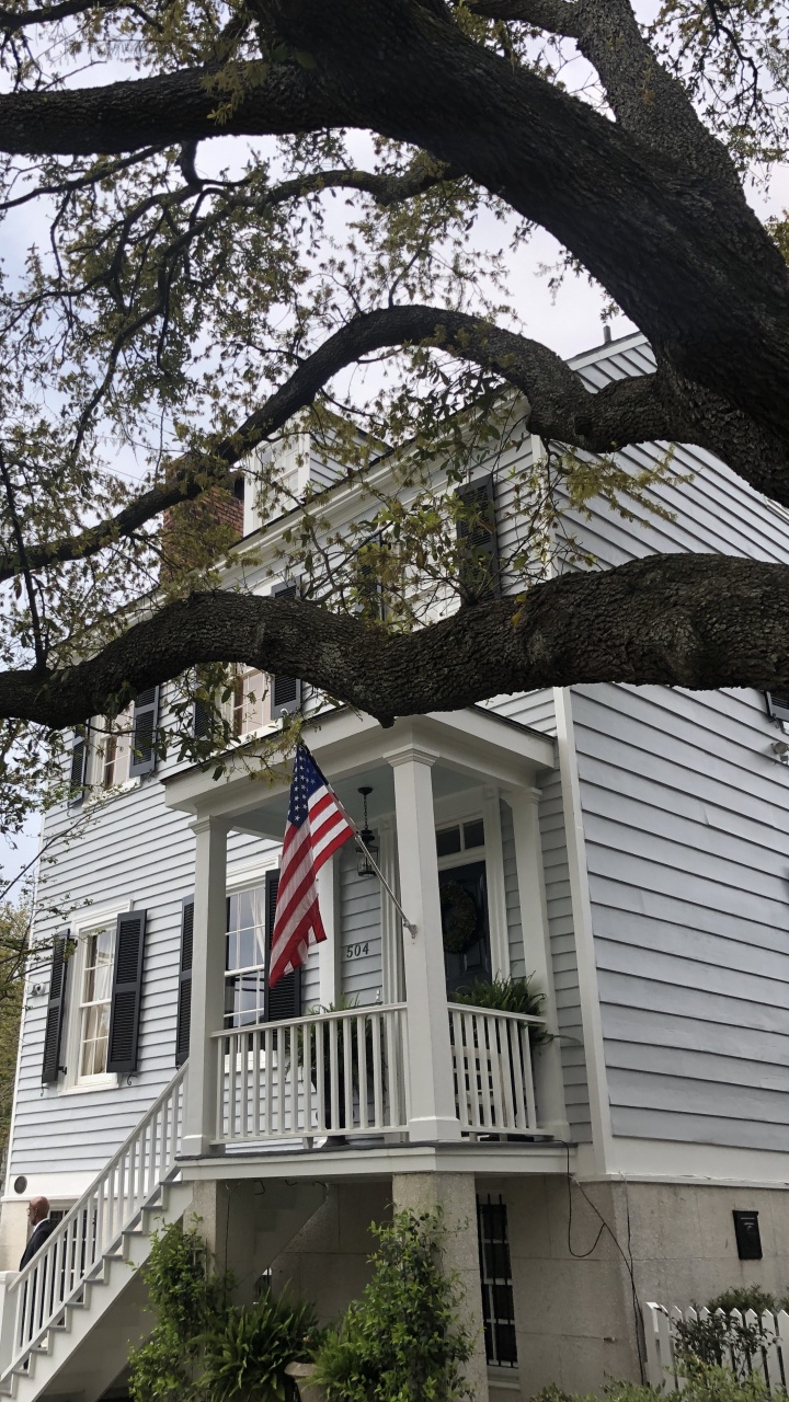 Обои Хаус, ветвь, флаг, дневное время, окно в разрешении 720x1280