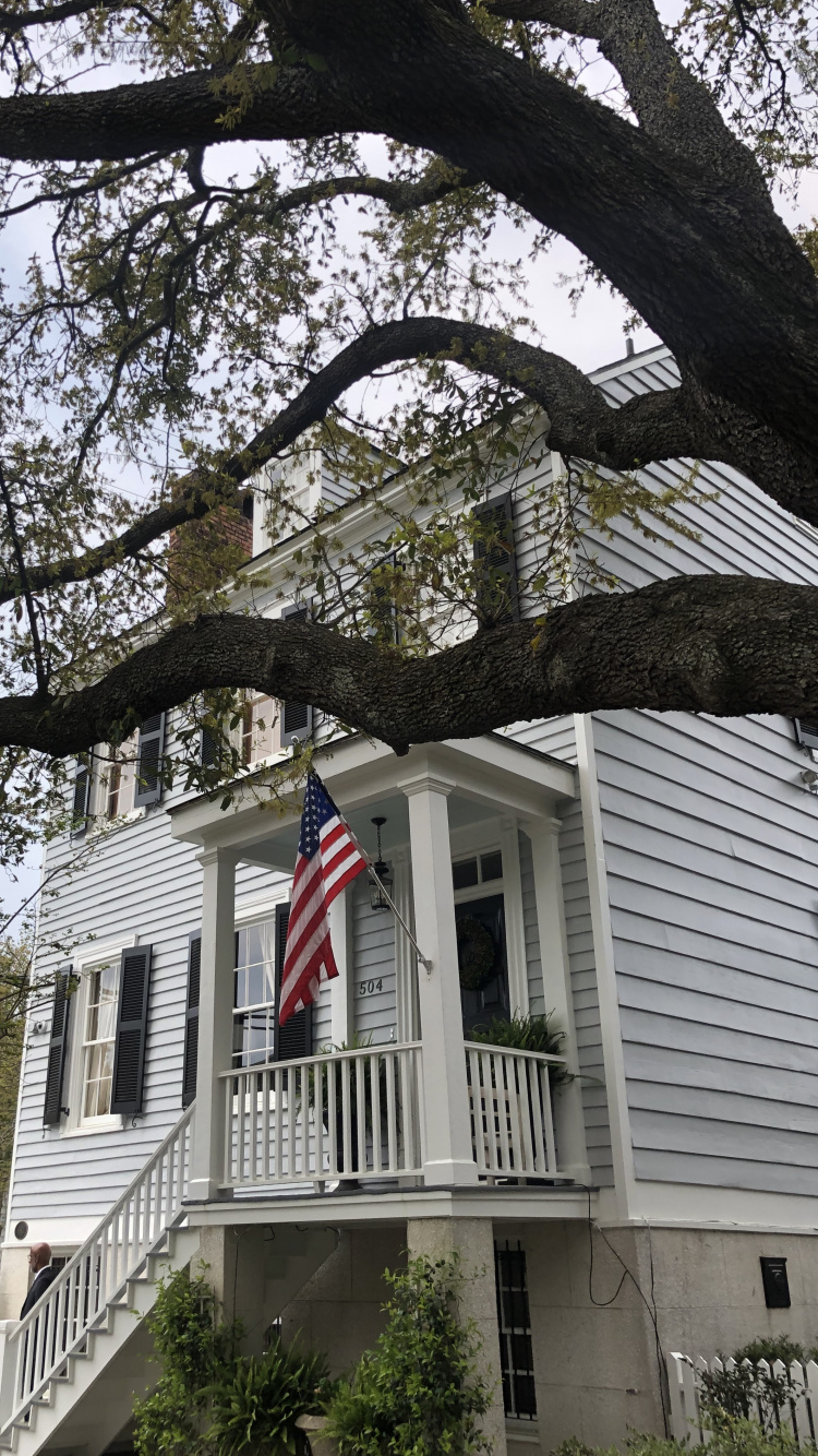 Обои Хаус, ветвь, флаг, дневное время, окно в разрешении 750x1334