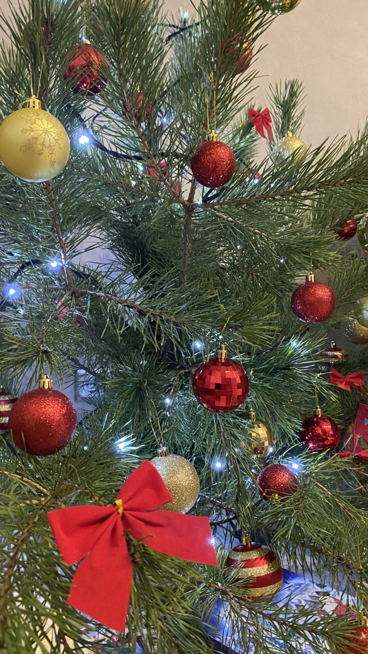 Обои рождественский орнамент, Рождественский день, елка, пихта, событие в разрешении 750x1334