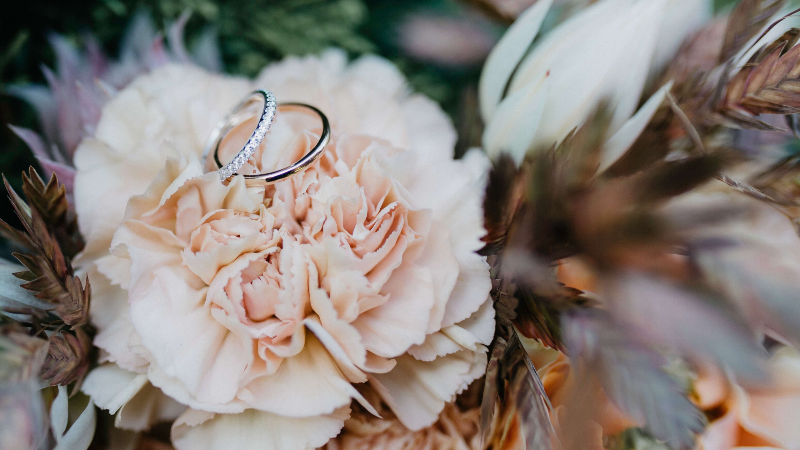 Обои привлечение цитат, обручальное кольцо, ювелирные изделия, помолвка, кольцо в разрешении 2560x1440