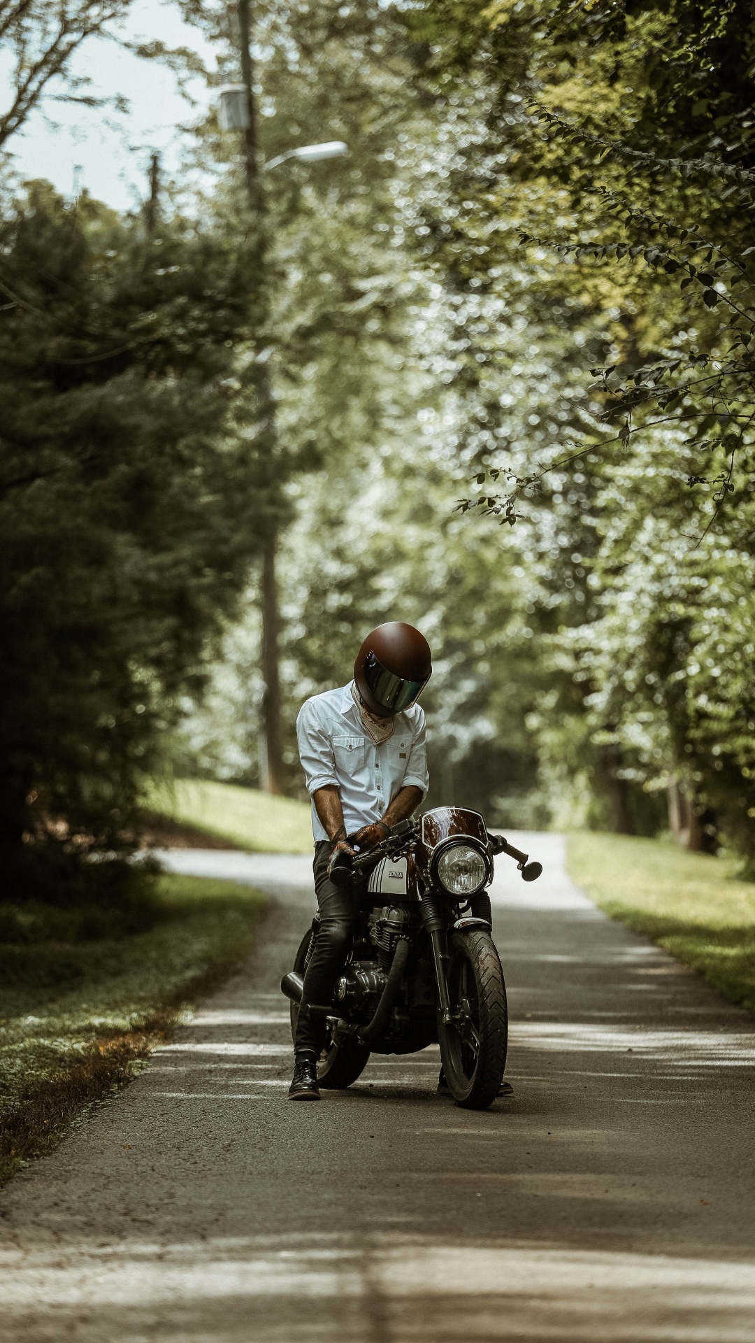 Обои мотоциклетный шлем, мотоцикл, мотоспорт, дерево, солнечный свет в разрешении 1080x1920