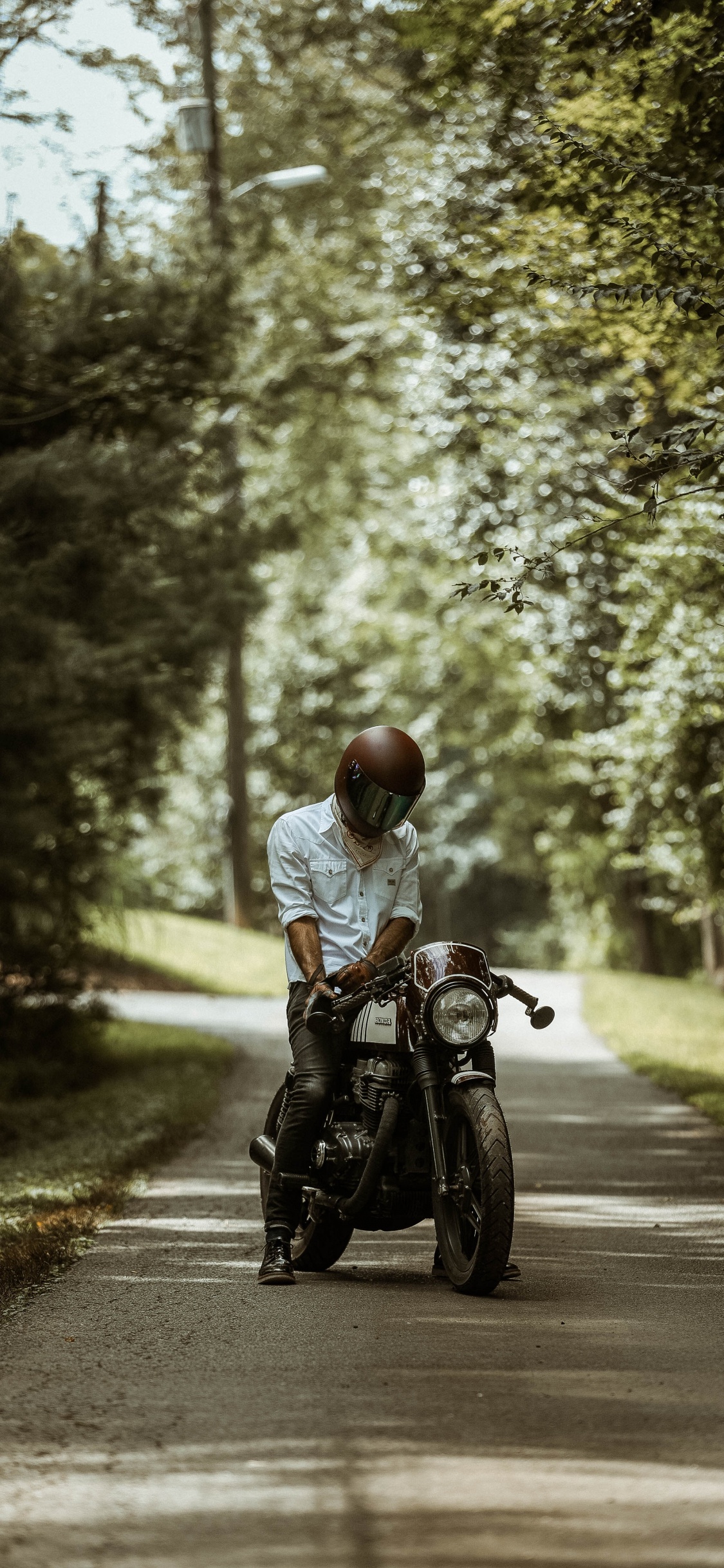 Обои мотоциклетный шлем, мотоцикл, мотоспорт, дерево, солнечный свет в разрешении 1125x2436