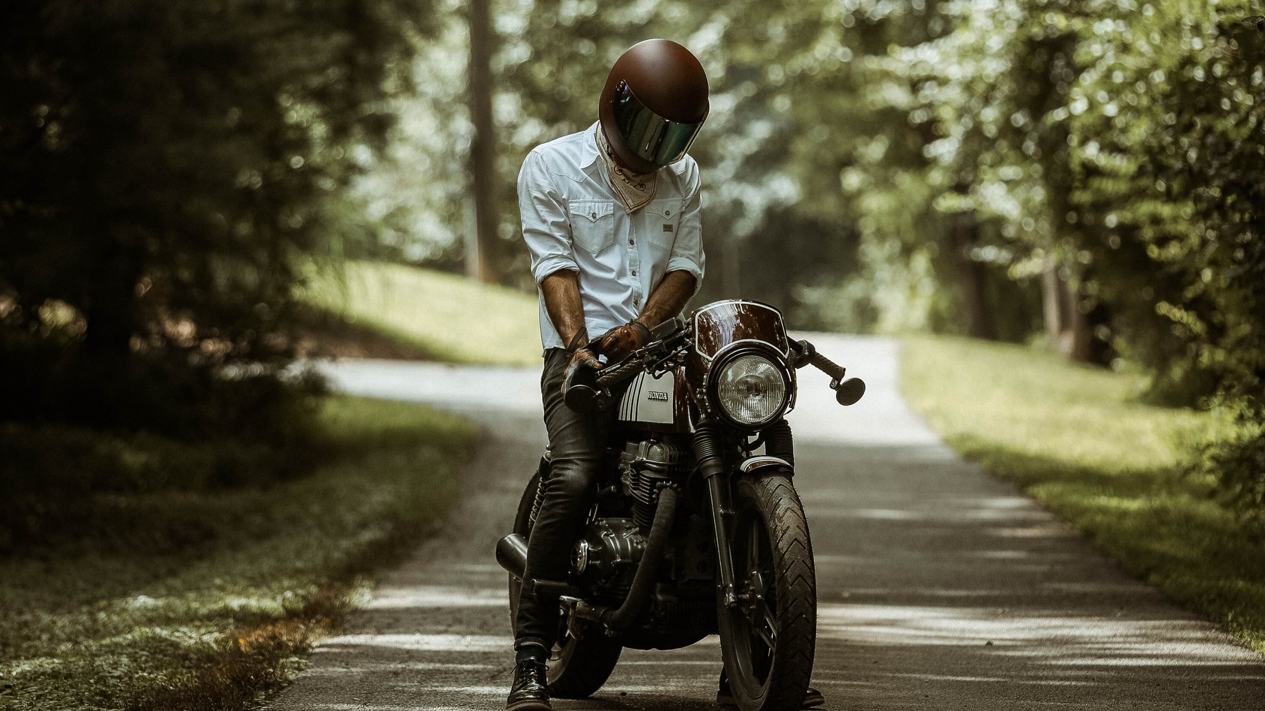 Обои мотоциклетный шлем, мотоцикл, мотоспорт, дерево, солнечный свет в разрешении 2560x1440