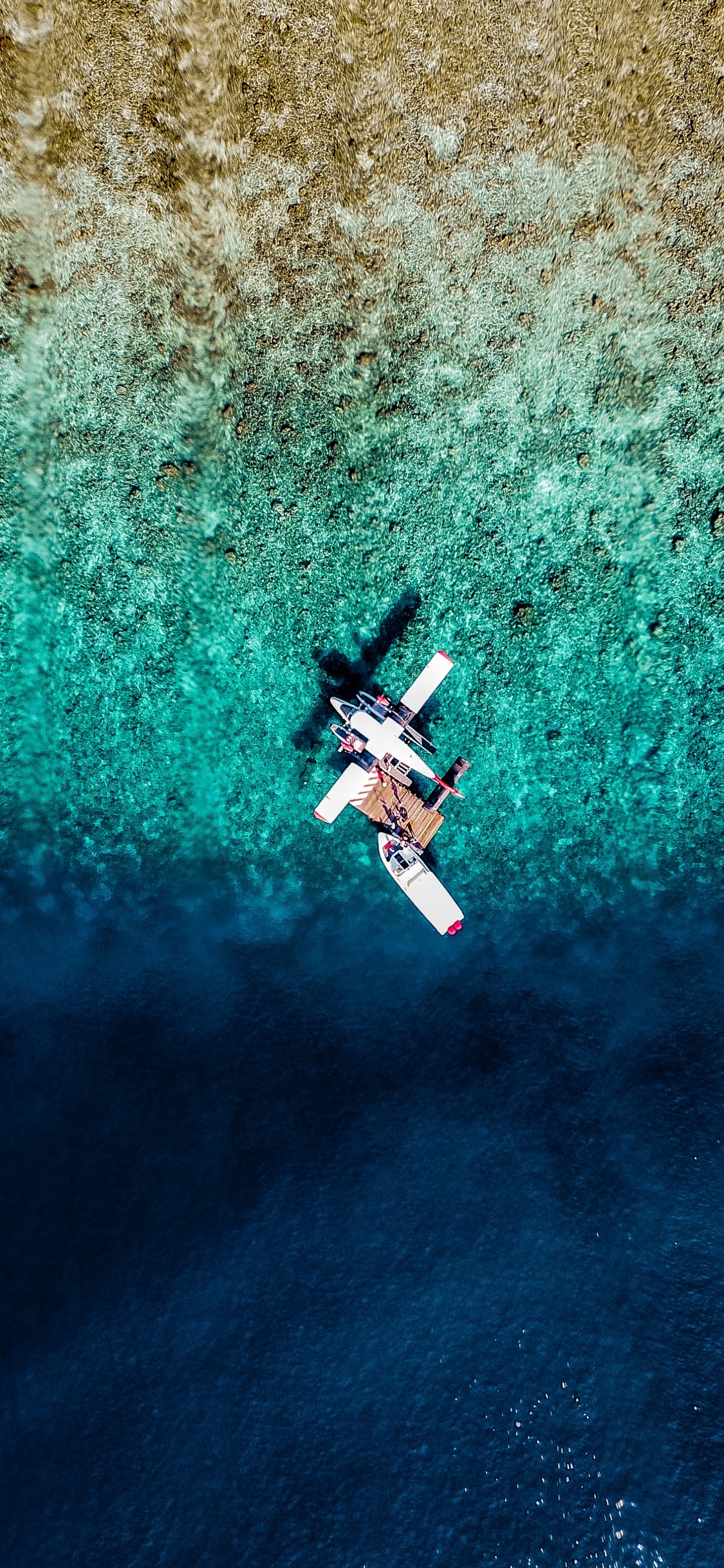 Обои самолет, вода, синий, экстремальный вид спорта, бирюза в разрешении 1125x2436