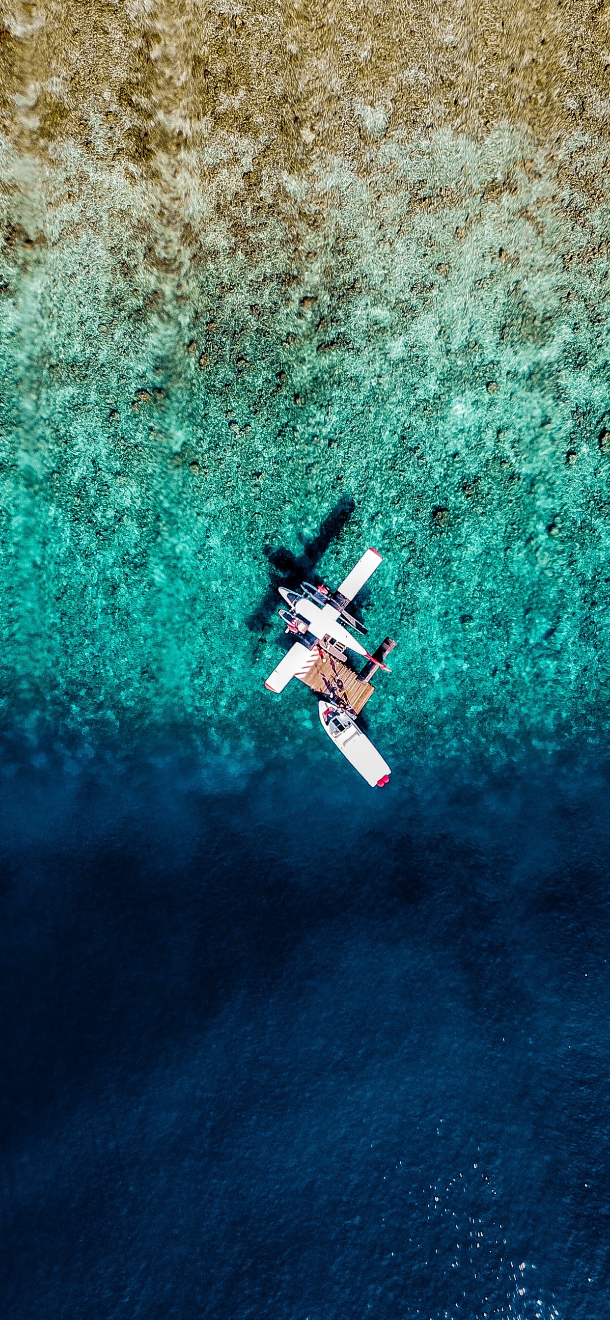 Обои самолет, вода, синий, экстремальный вид спорта, бирюза в разрешении 1242x2688