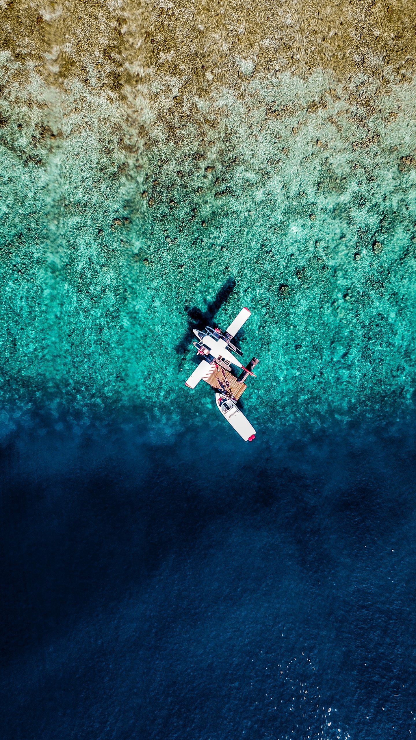Обои самолет, вода, синий, экстремальный вид спорта, бирюза в разрешении 1440x2560