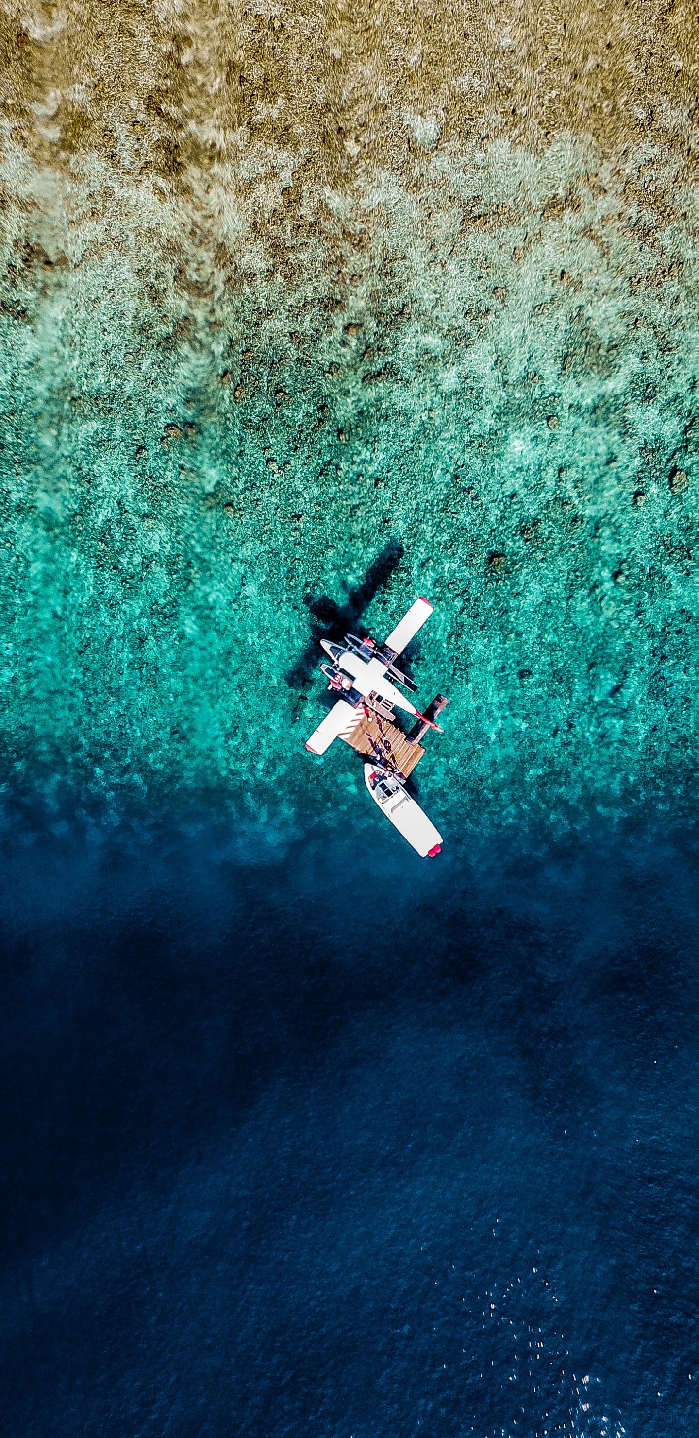 Обои самолет, вода, синий, экстремальный вид спорта, бирюза в разрешении 1440x2960