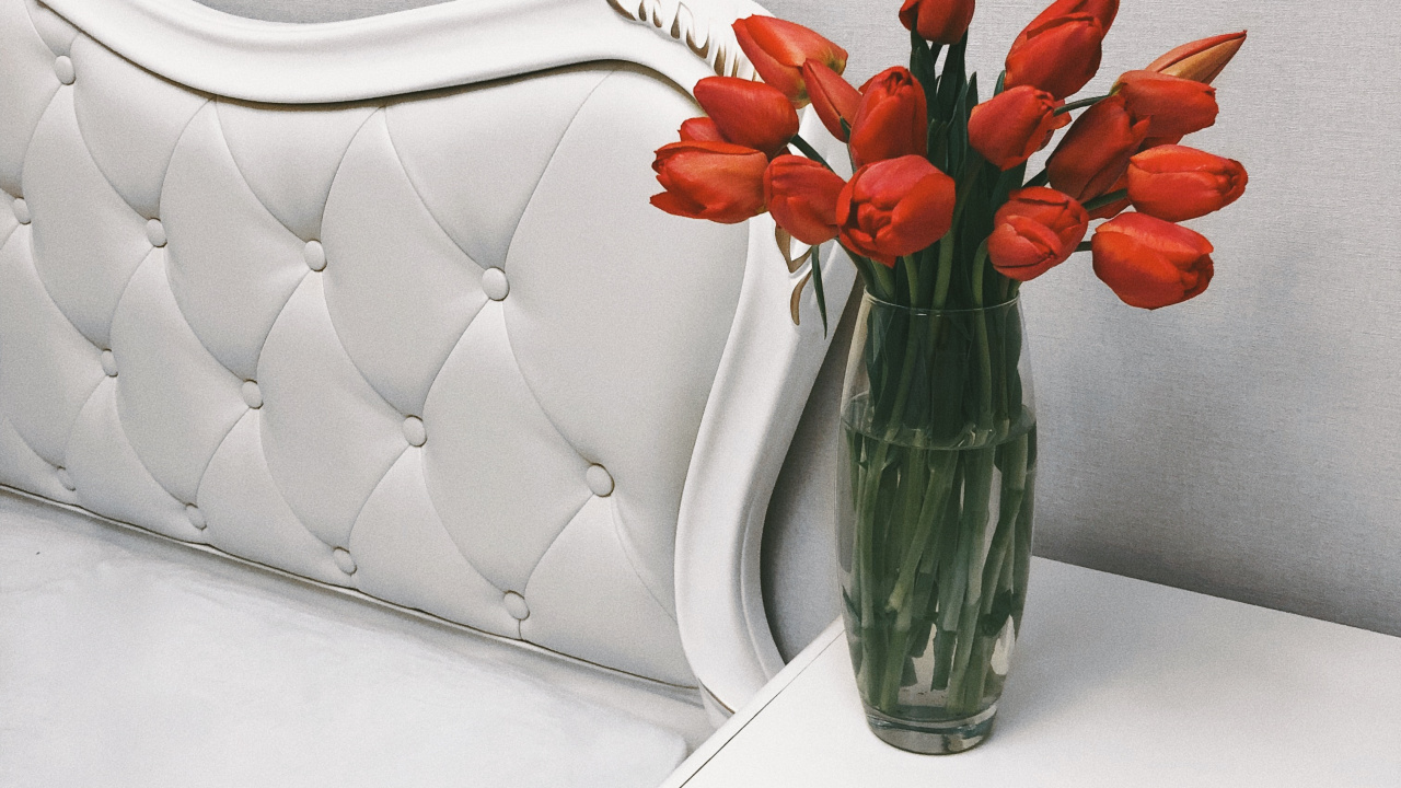 Обои цветочный горшок, цветочный дизайн, срезанные цветы, искусственный цветок, лепесток в разрешении 1280x720