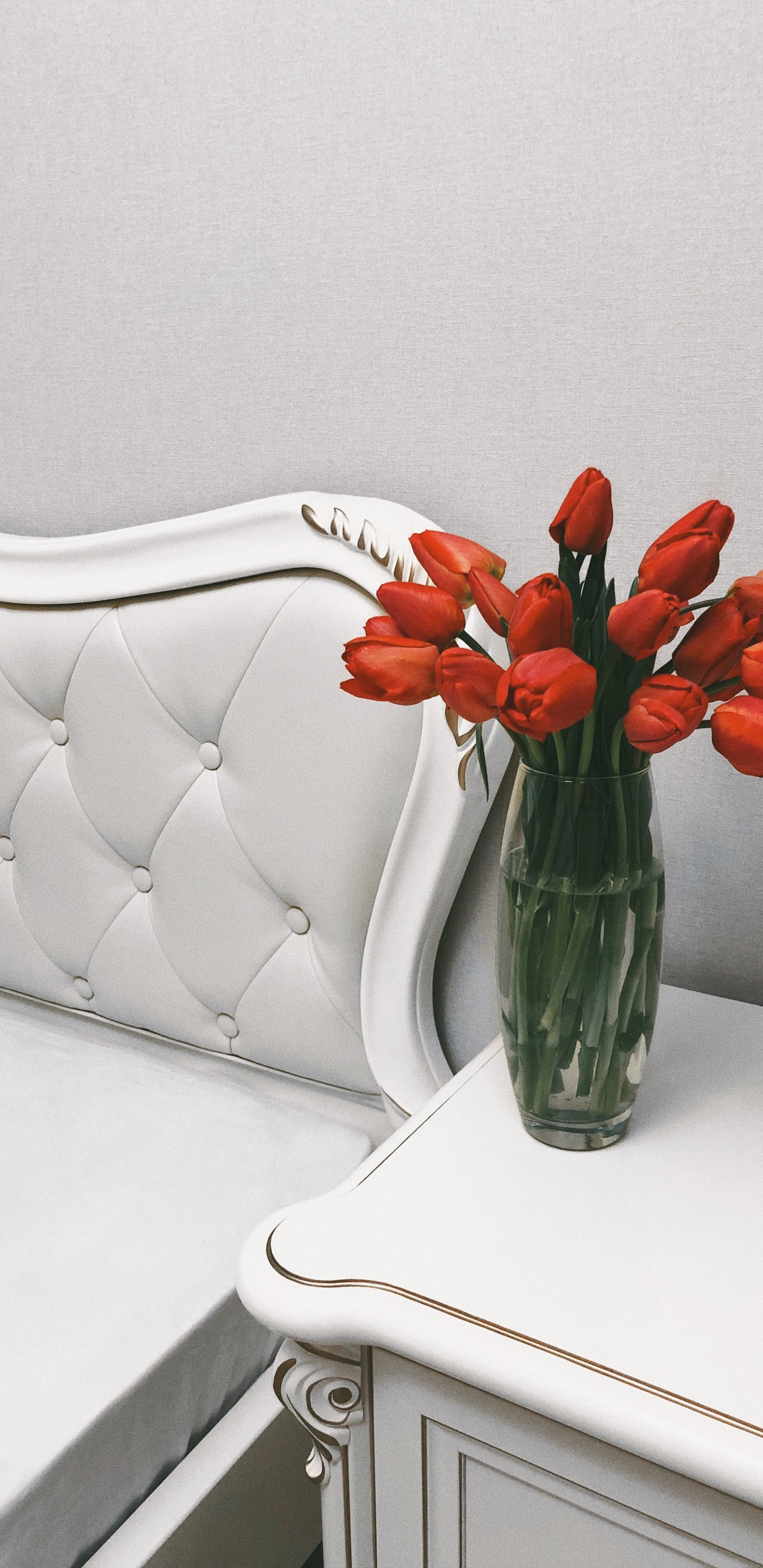 Обои цветочный горшок, цветочный дизайн, срезанные цветы, искусственный цветок, лепесток в разрешении 1440x2960