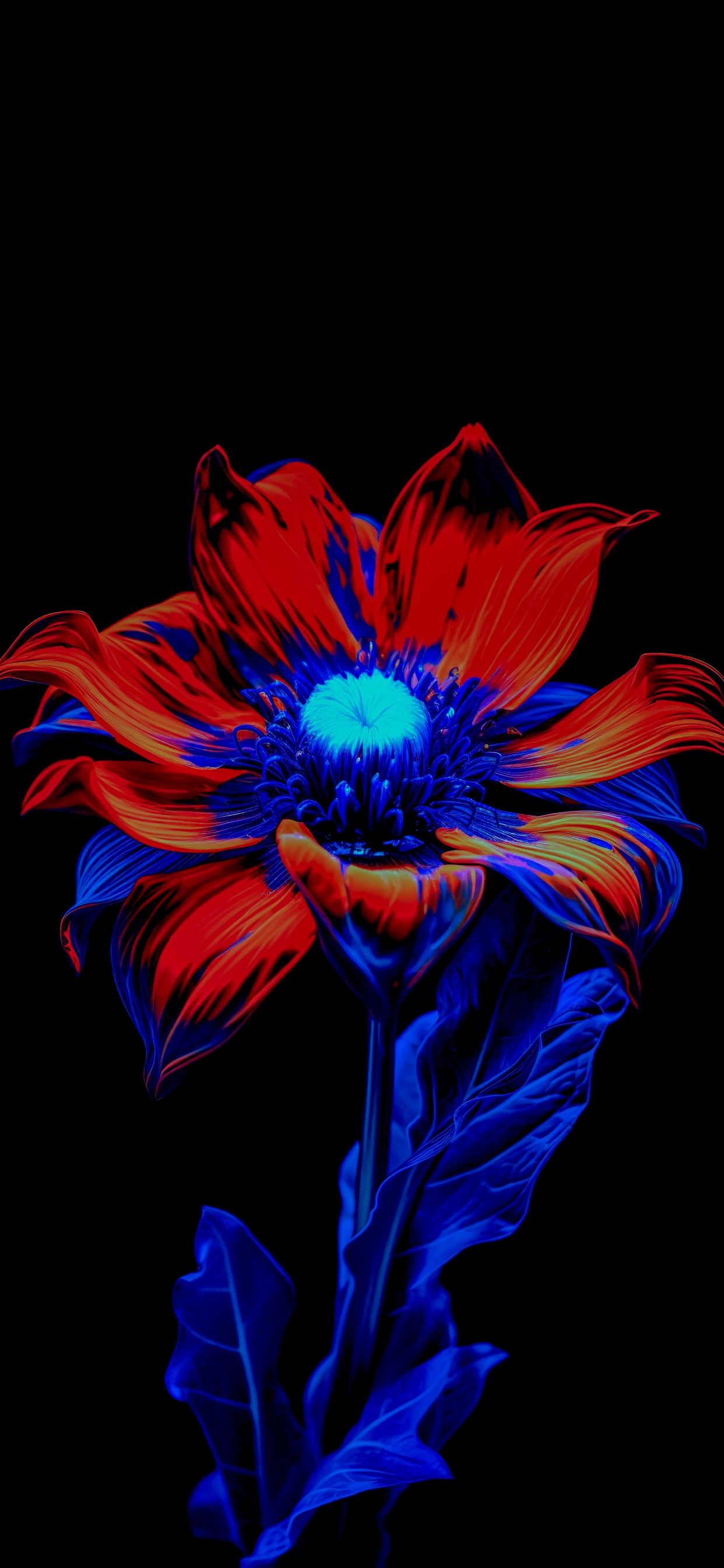 Обои цветок, цветковое растение, лепесток, пурпур, Фиолетовый в разрешении 1242x2688