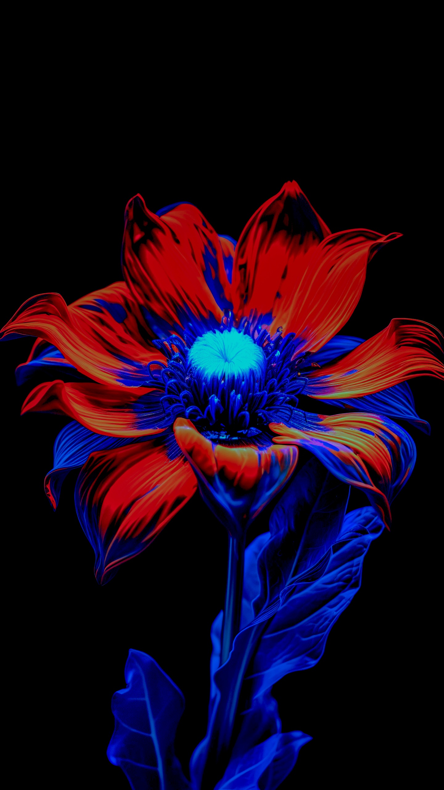 Обои цветок, цветковое растение, лепесток, пурпур, Фиолетовый в разрешении 1440x2560