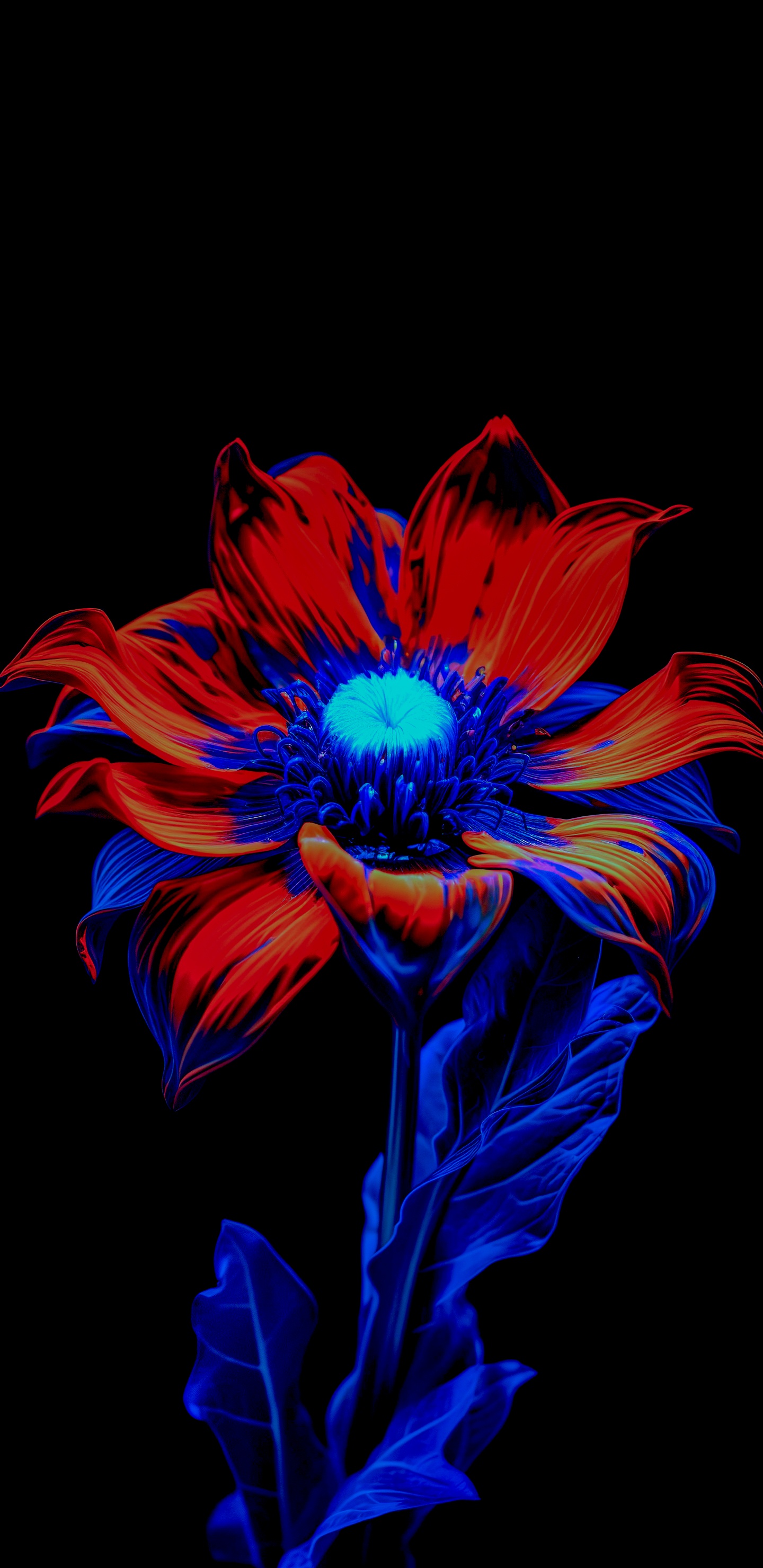 Обои цветок, цветковое растение, лепесток, пурпур, Фиолетовый в разрешении 1440x2960