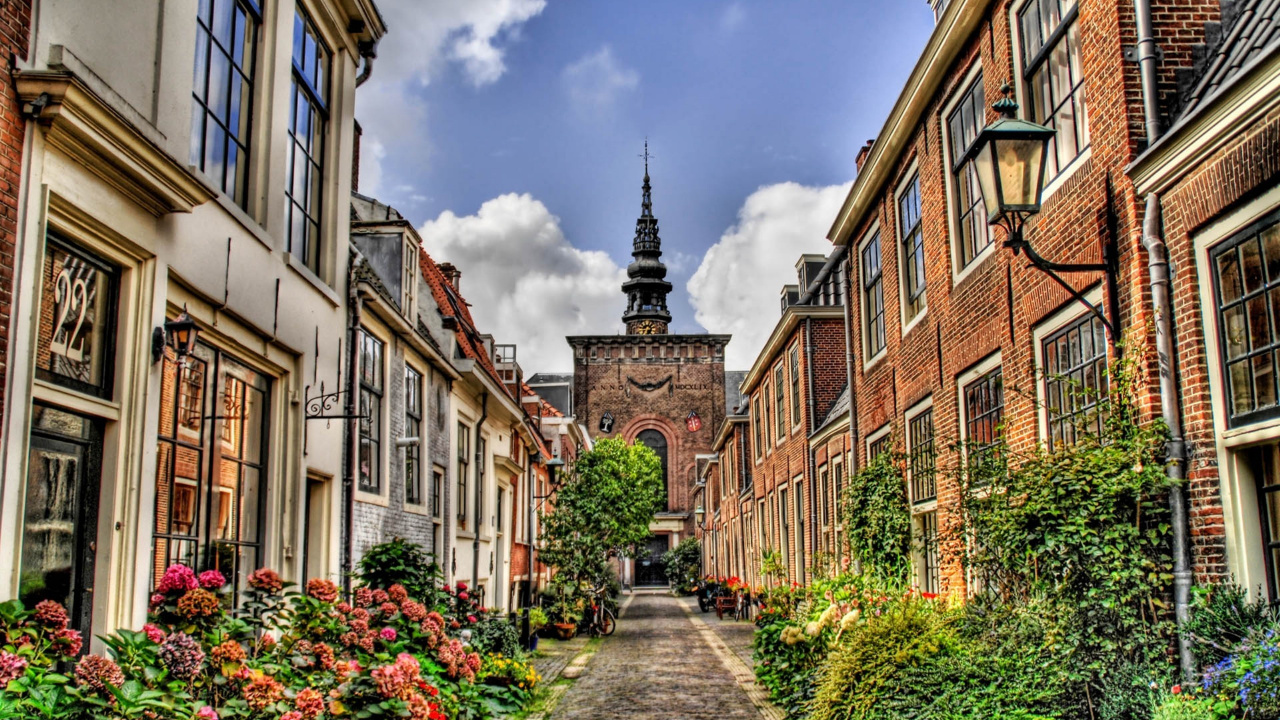 Обои Харлем, здание, городок, улица, соседство в разрешении 1280x720