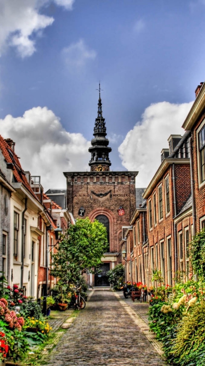 Обои Харлем, здание, городок, улица, соседство в разрешении 720x1280