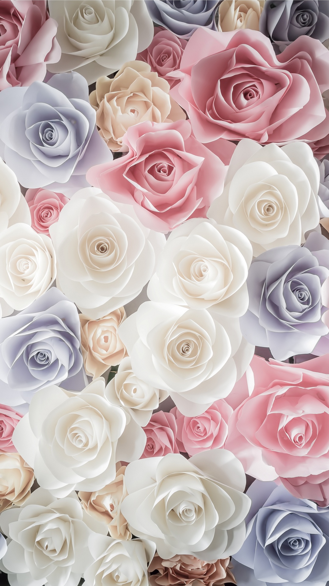 Обои Роза, цветок, сад роз, срезанные цветы, розовый в разрешении 1080x1920