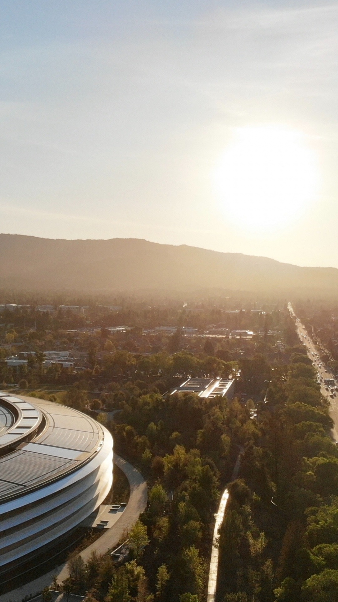 Обои дневное время, свет, природа, дерево, солнечный свет в разрешении 1080x1920