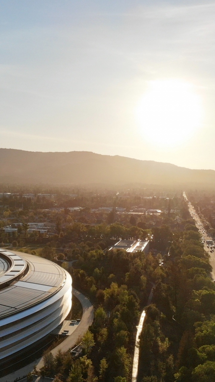 Обои дневное время, свет, природа, дерево, солнечный свет в разрешении 720x1280