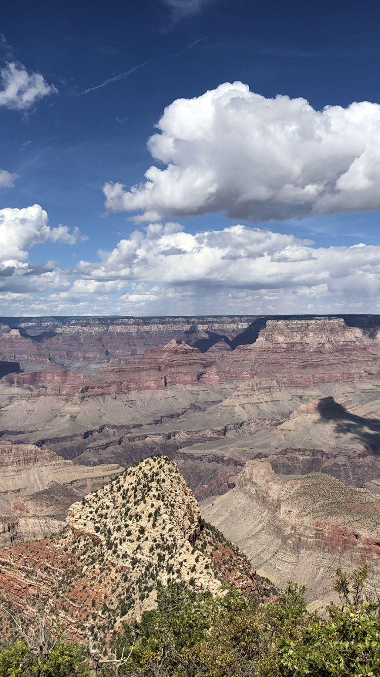 Обои национальный парк Гранд каньон, Гранд Каньон Виллидж, облако, растительное сообщество, пейзаж в разрешении 750x1334