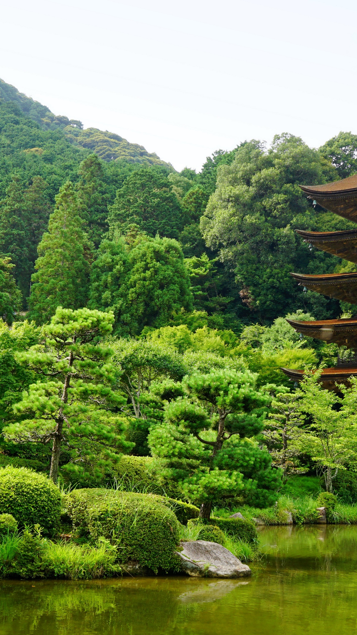 Обои ruriko-дзи, пагода, буддийский храм, храм, растительность в разрешении 1440x2560