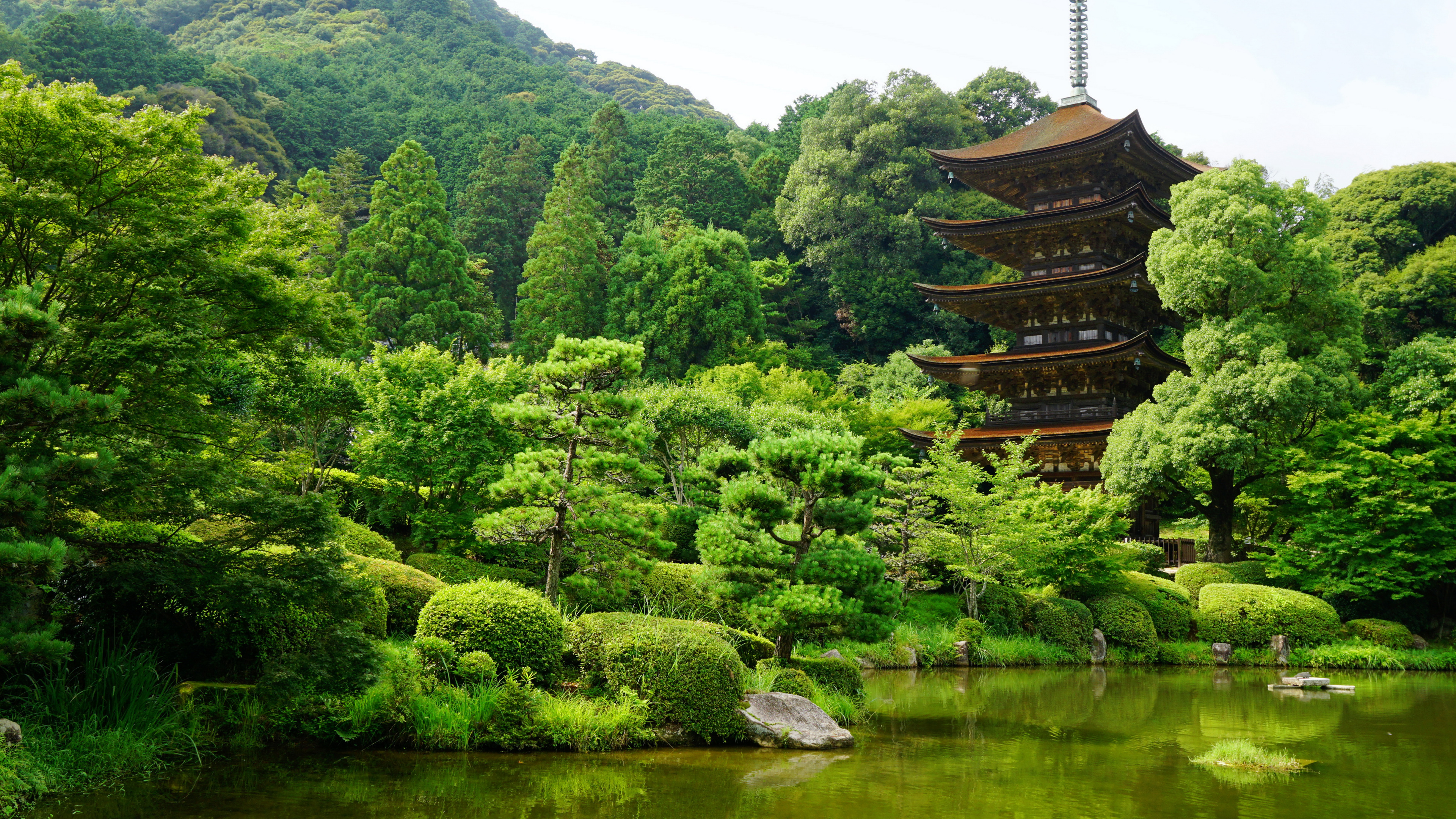 Обои ruriko-дзи, пагода, буддийский храм, храм, растительность в разрешении 3840x2160