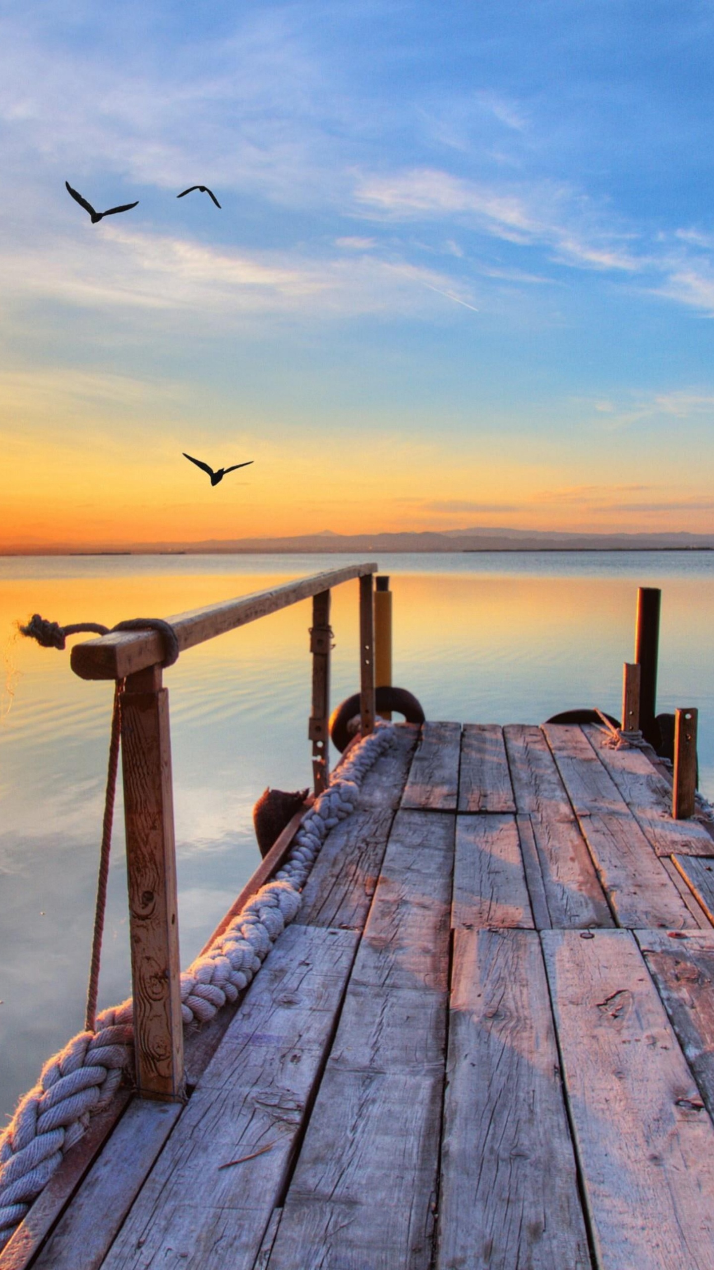 Обои Оушенсайд Рыбацкого Причала, Пирс, Clevedon Pier Heritage Trust, вода, облако в разрешении 1440x2560