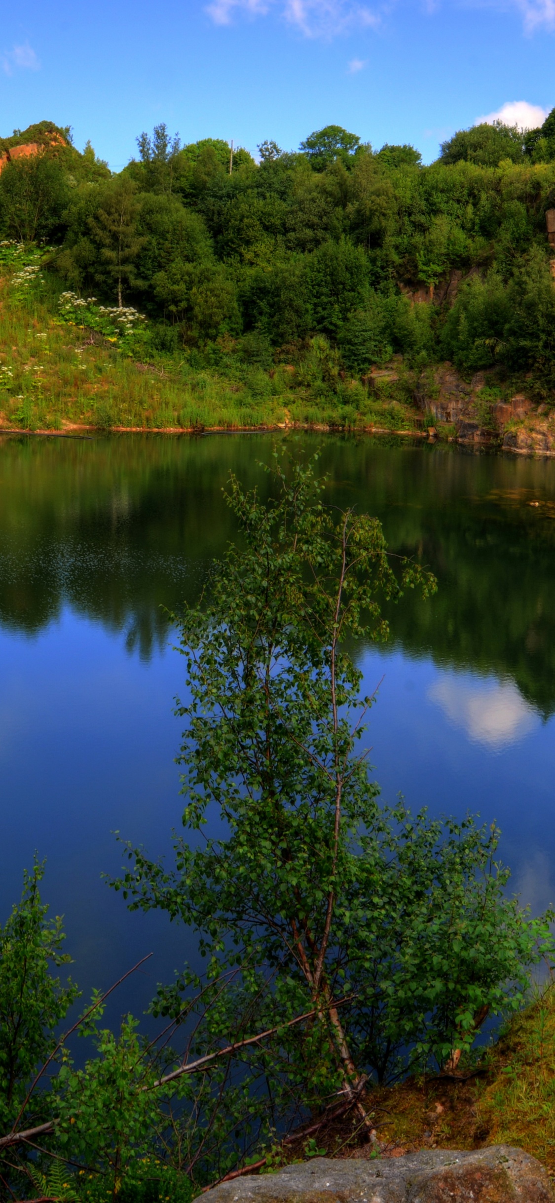 Обои лето, природный заповедник, природа, отражение, вода в разрешении 1125x2436