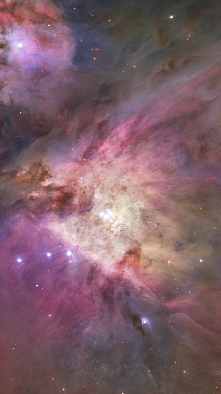 Обои Туманность Ориона, космический телескоп Хаббл, туманность, Орион, Астрономия в разрешении 720x1280