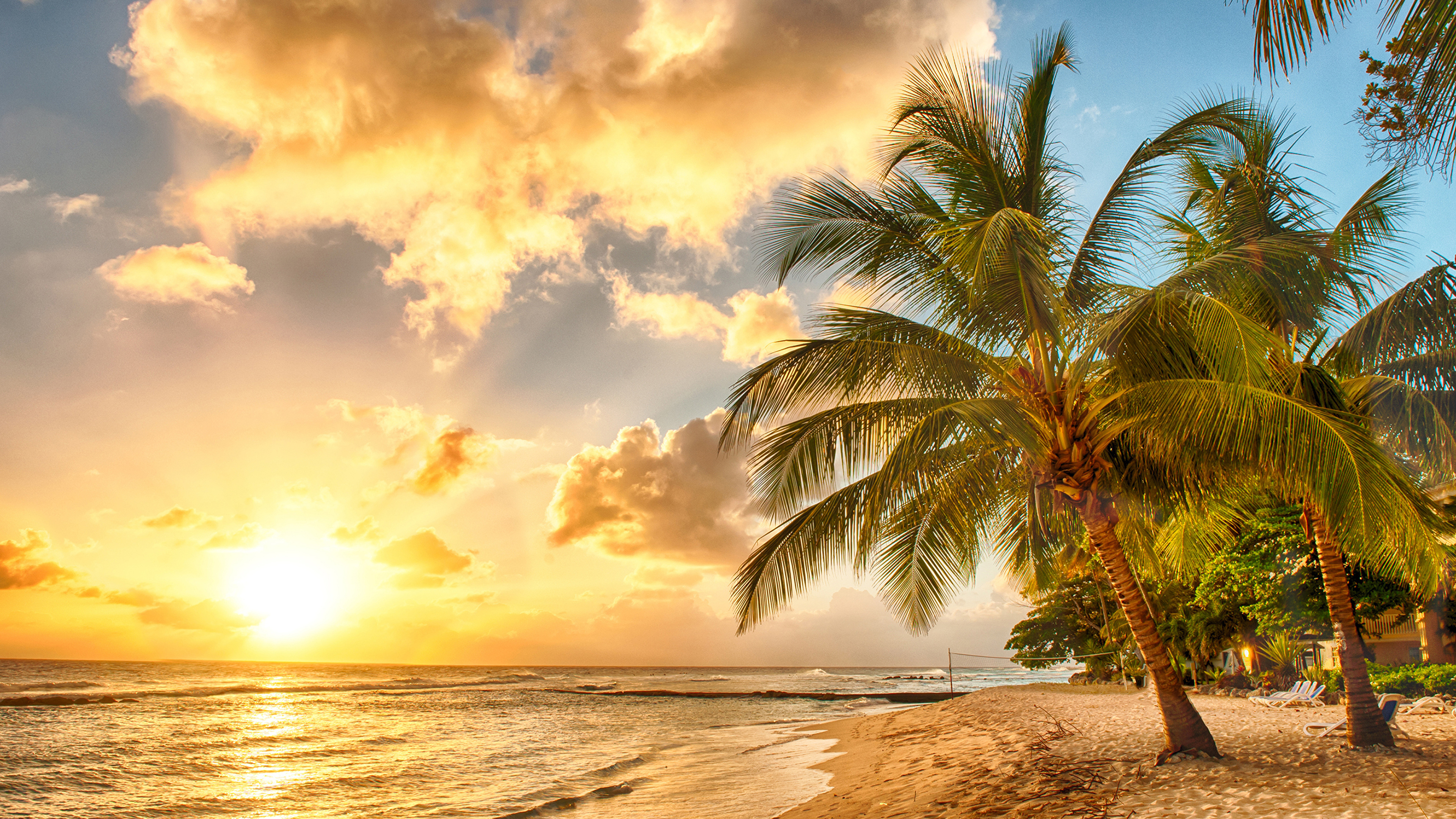 Обои пляж, море, берег, тропическая зона, дерево в разрешении 3840x2160