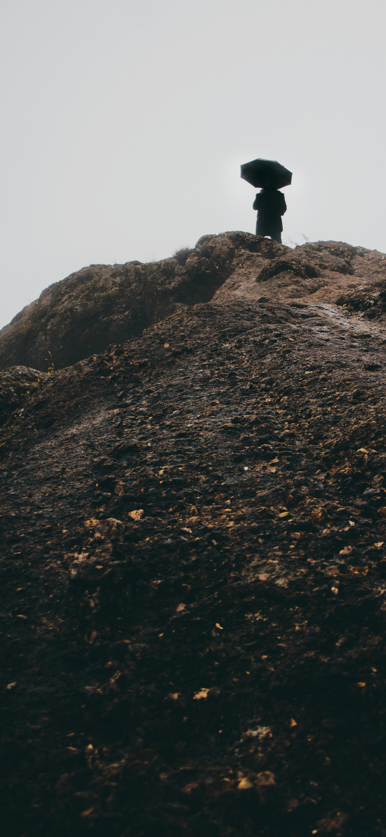 Обои Упал, туман, архитектура, рок, интернет мем в разрешении 1242x2688