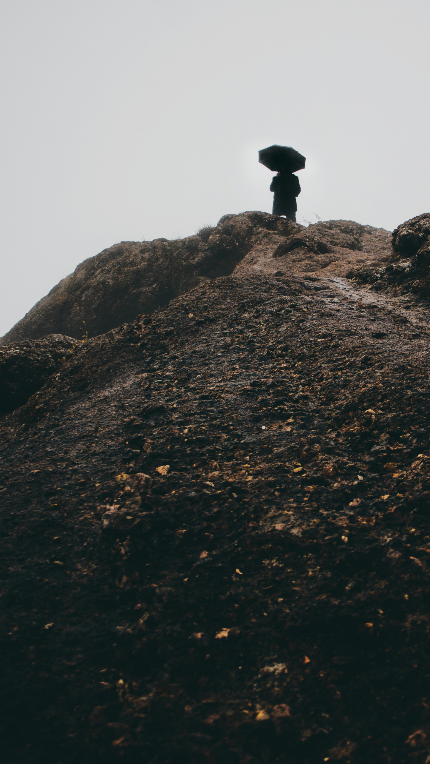 Обои Упал, туман, архитектура, рок, интернет мем в разрешении 1440x2560