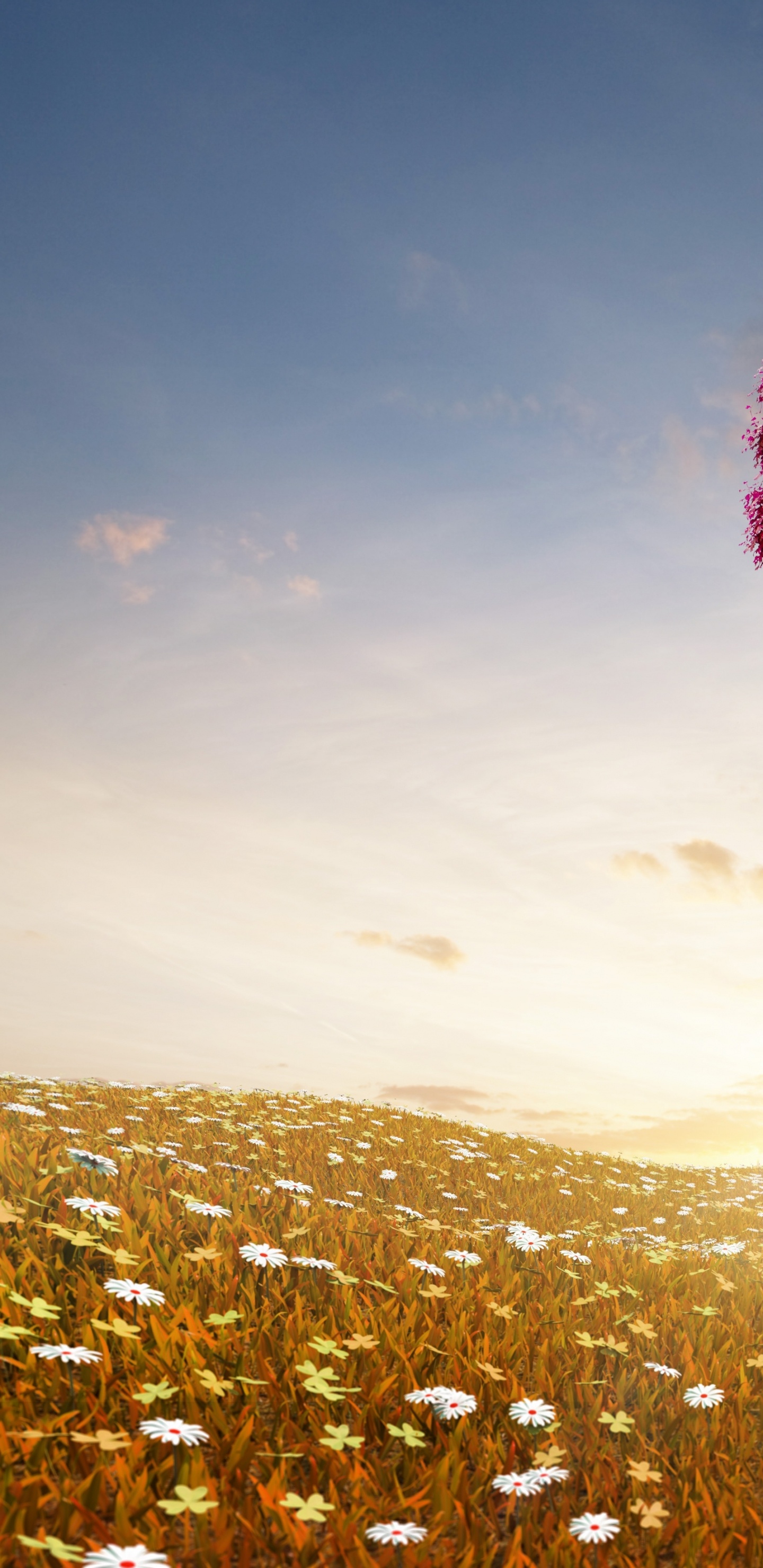 Обои сердце, дерево, природа, облако, любовь в разрешении 1440x2960