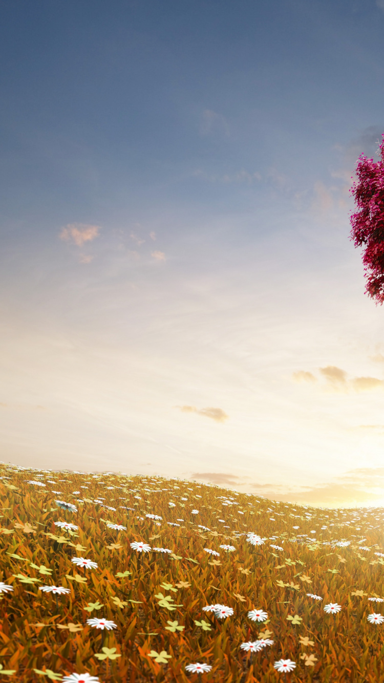 Обои сердце, дерево, природа, облако, любовь в разрешении 750x1334