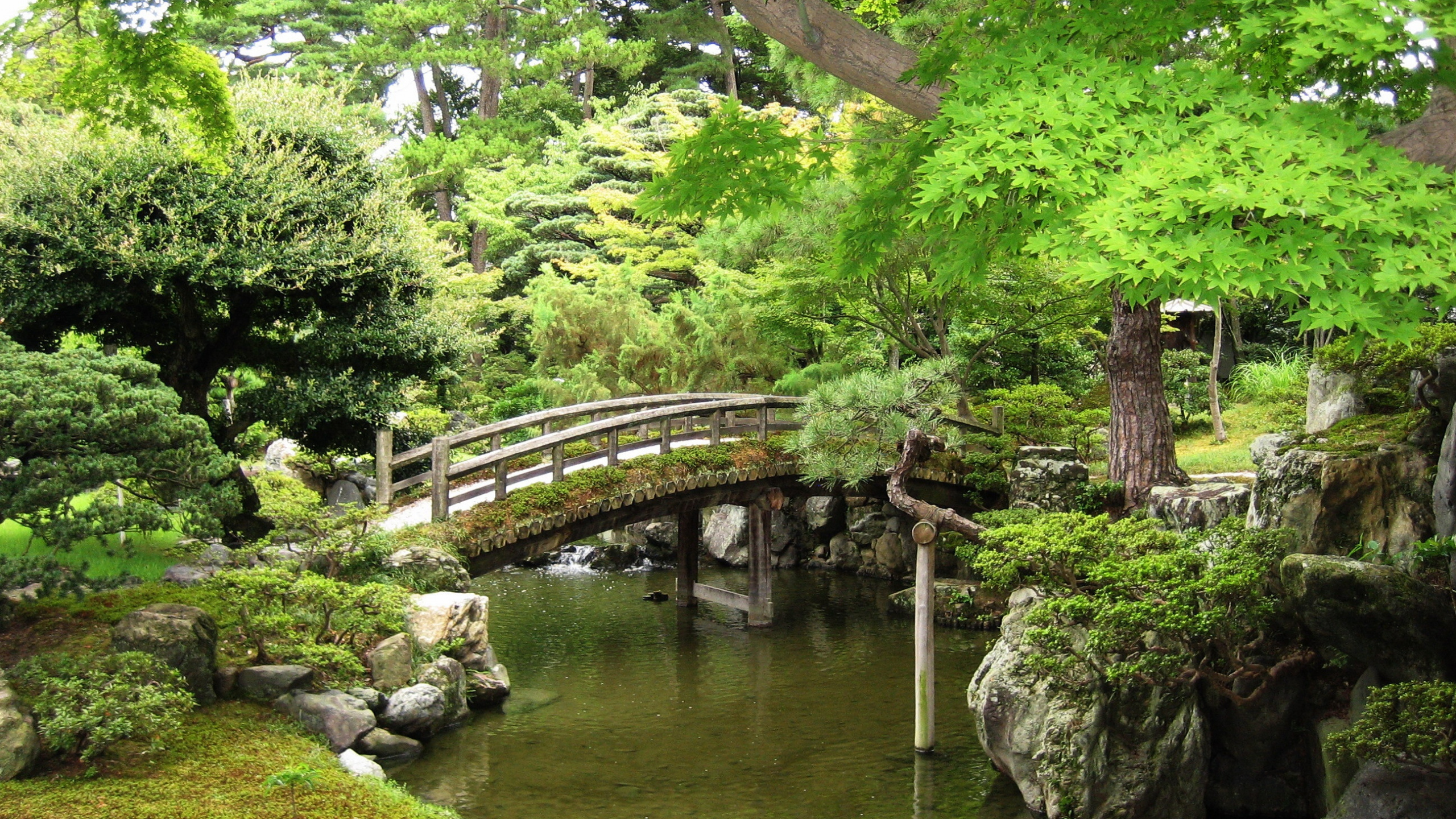 Обои Императорский Дворец В Киото, японский сад, природа, растительность, сад в разрешении 2560x1440