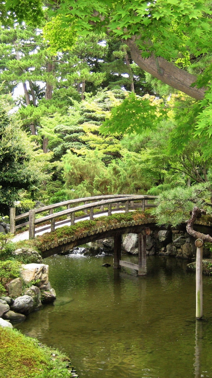 Обои Императорский Дворец В Киото, японский сад, природа, растительность, сад в разрешении 720x1280