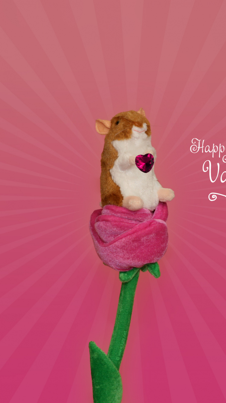 Обои День Святого Валентина, розовый, цветок, лепесток, пурпурный цвет в разрешении 750x1334