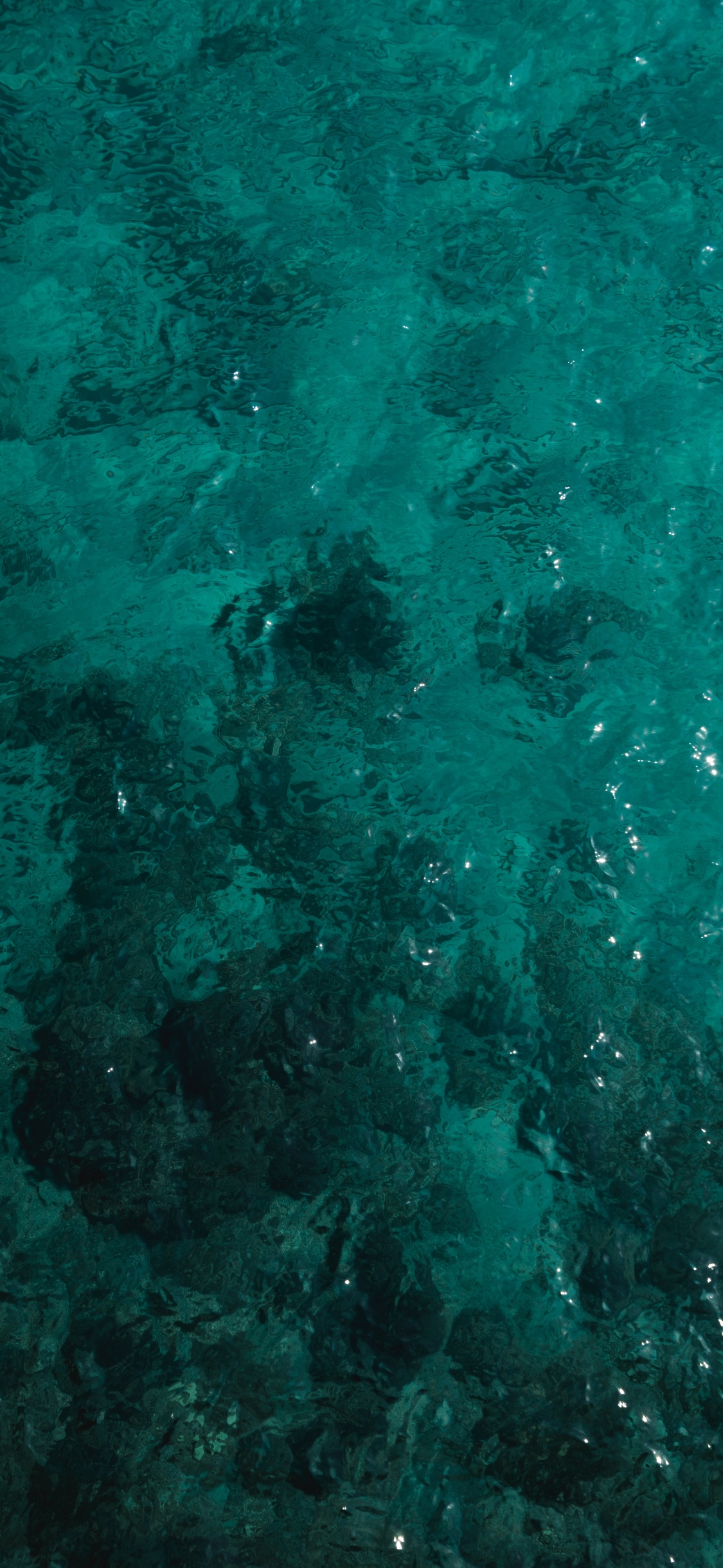 Обои бирюза, зеленый, чирок, Аква, синий в разрешении 1125x2436