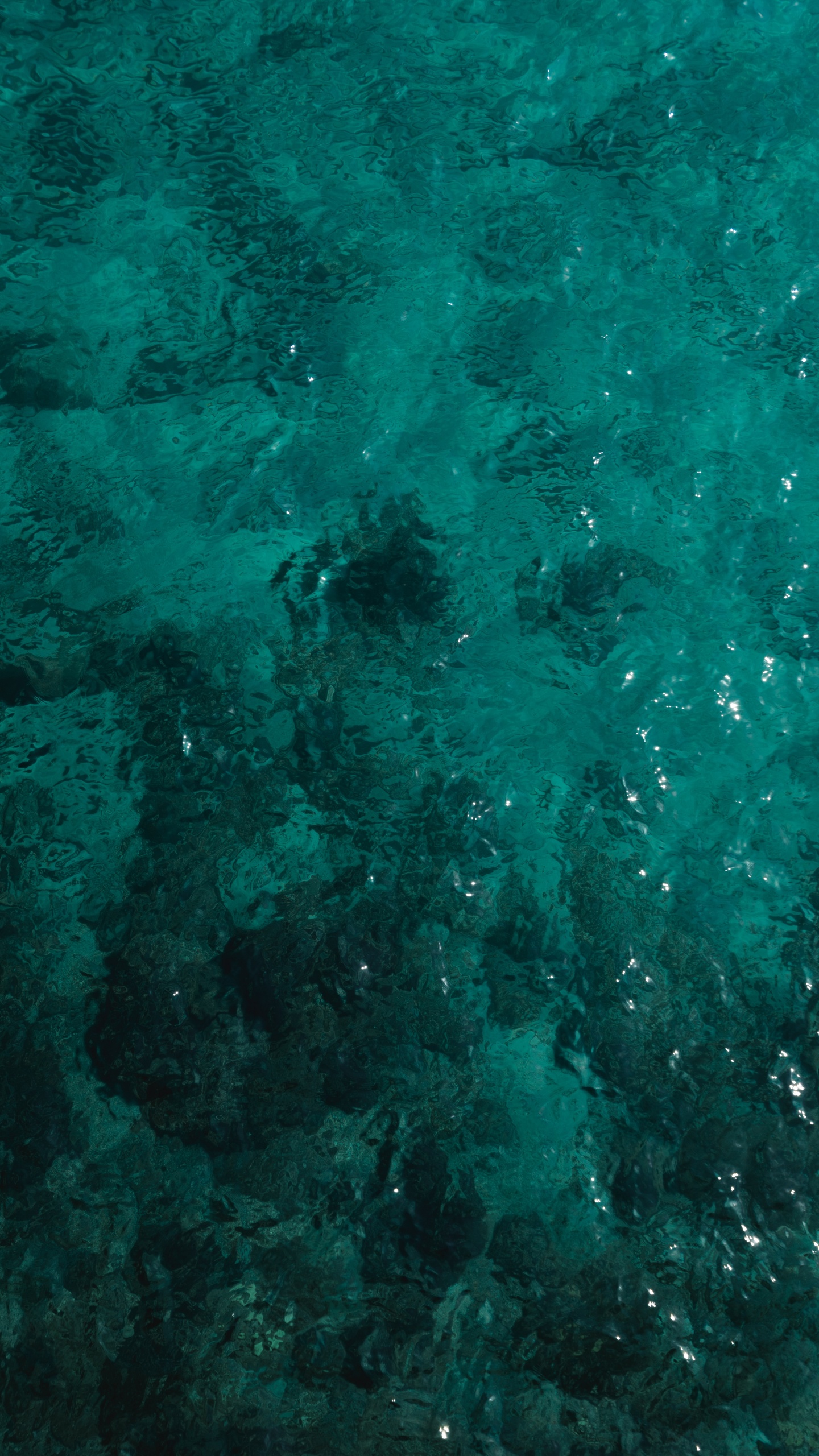 Обои бирюза, зеленый, чирок, Аква, синий в разрешении 1440x2560