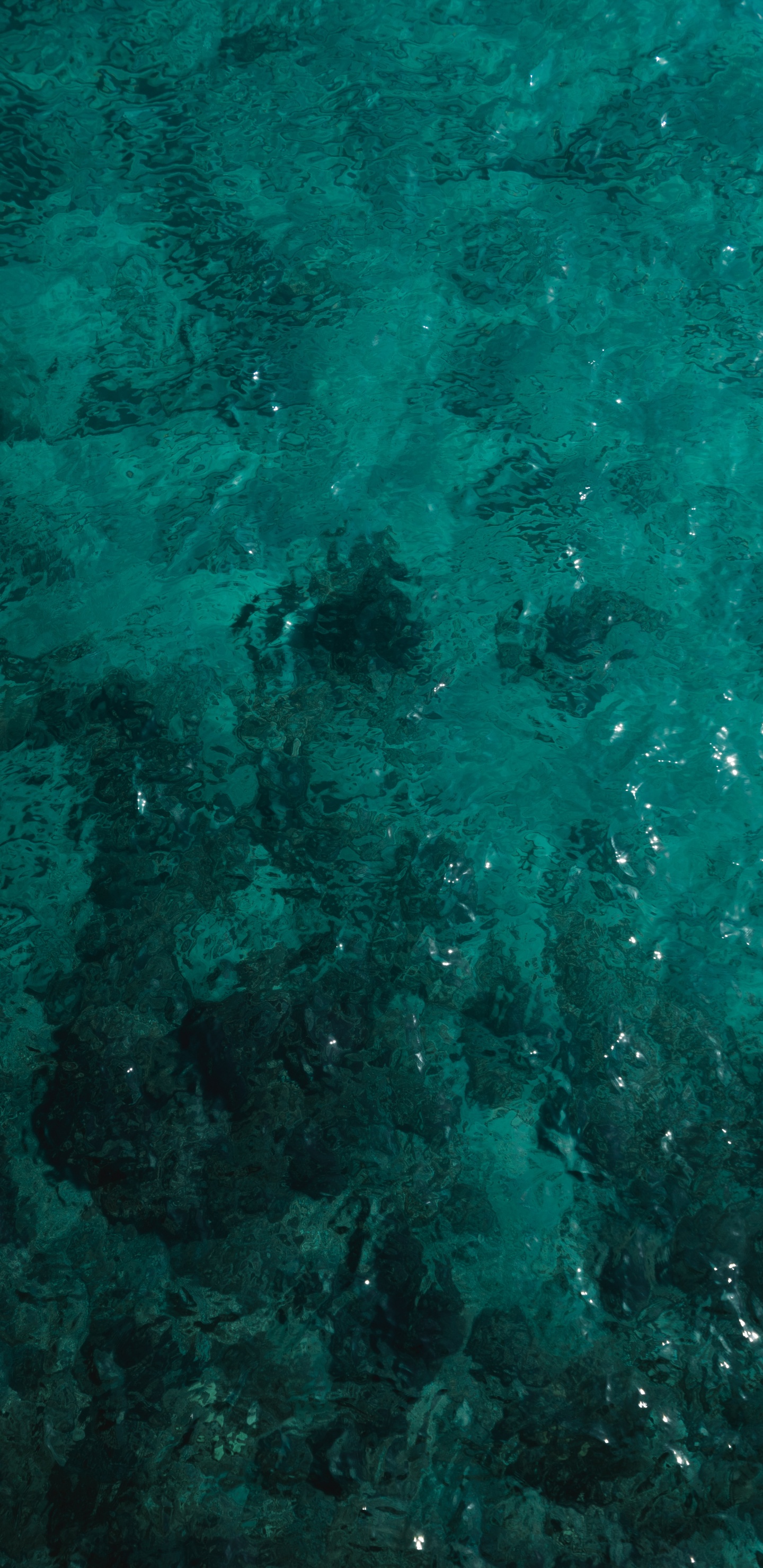 Обои бирюза, зеленый, чирок, Аква, синий в разрешении 1440x2960