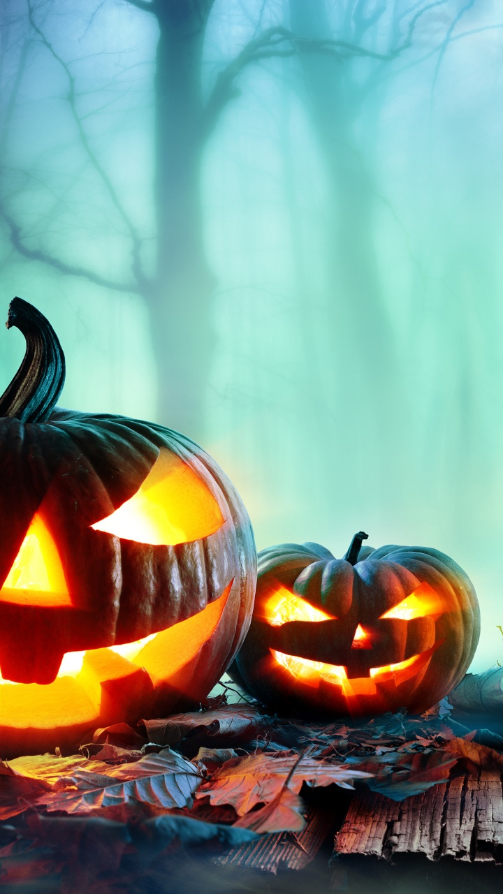 Обои калебас, тыква, тыквенных, тепло, Хэллоуин в разрешении 720x1280